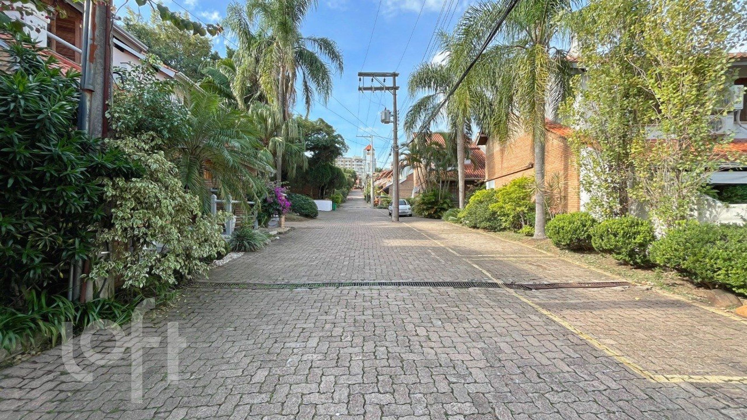 Imagem da propriedade 33