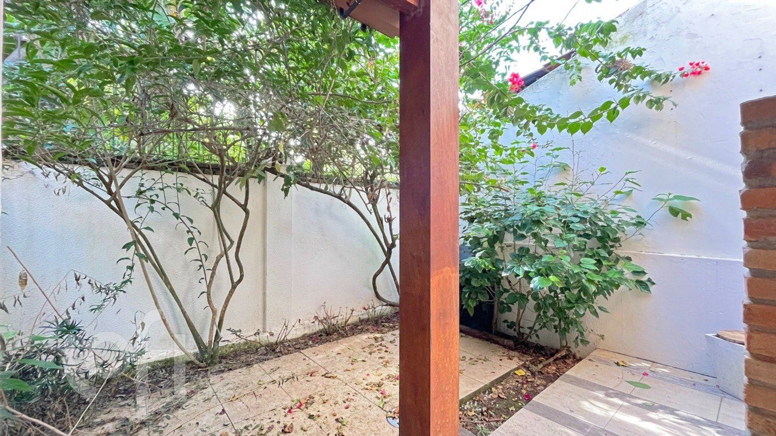 Imagem da propriedade 29