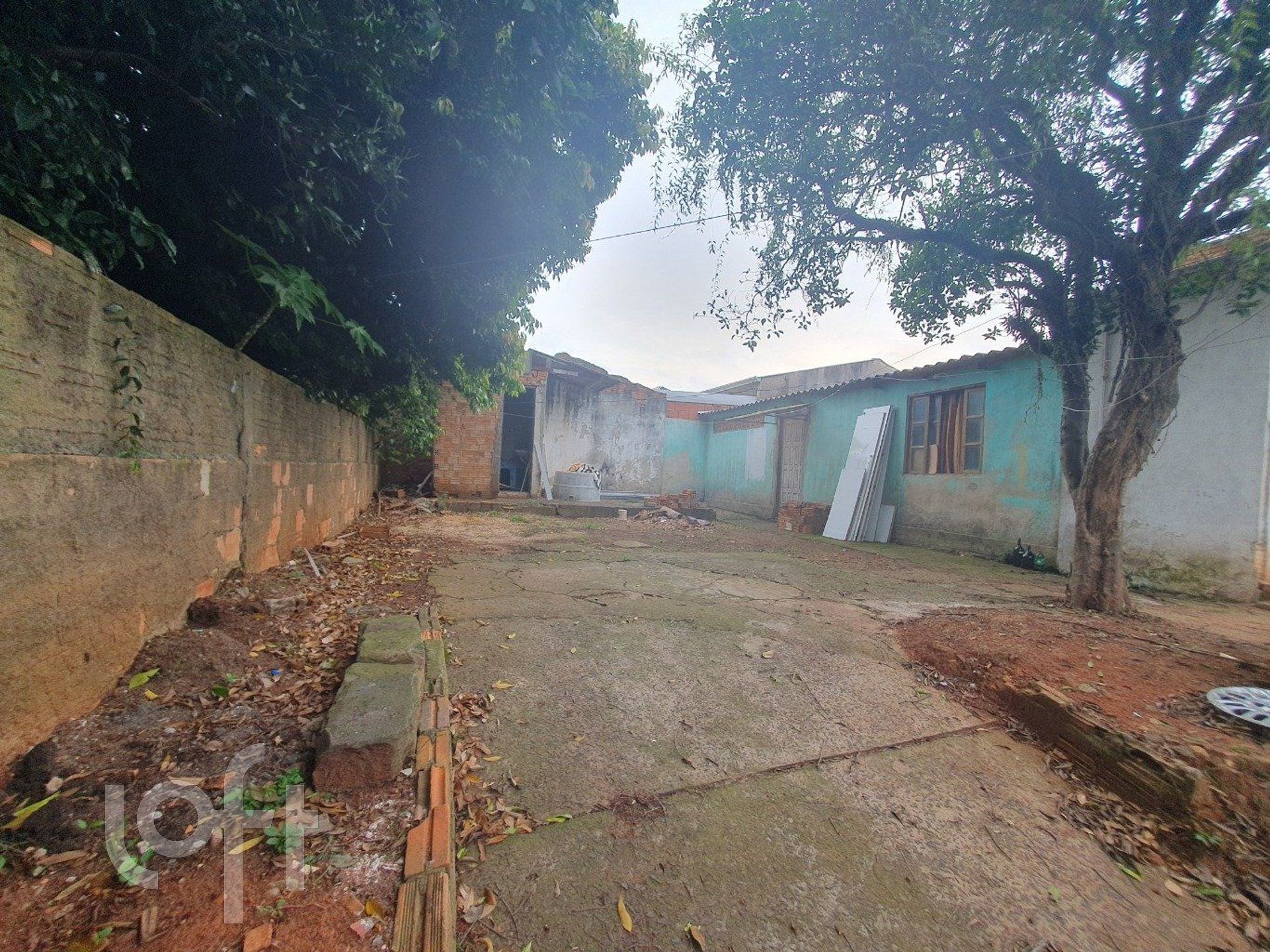 Imagem da propriedade 16