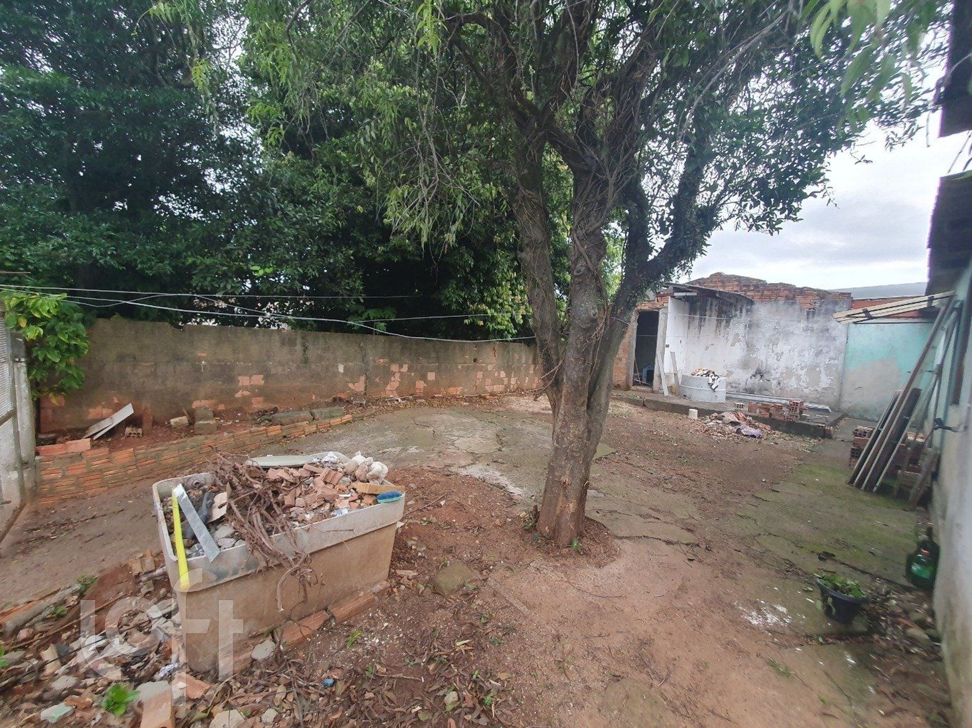 Imagem da propriedade 17