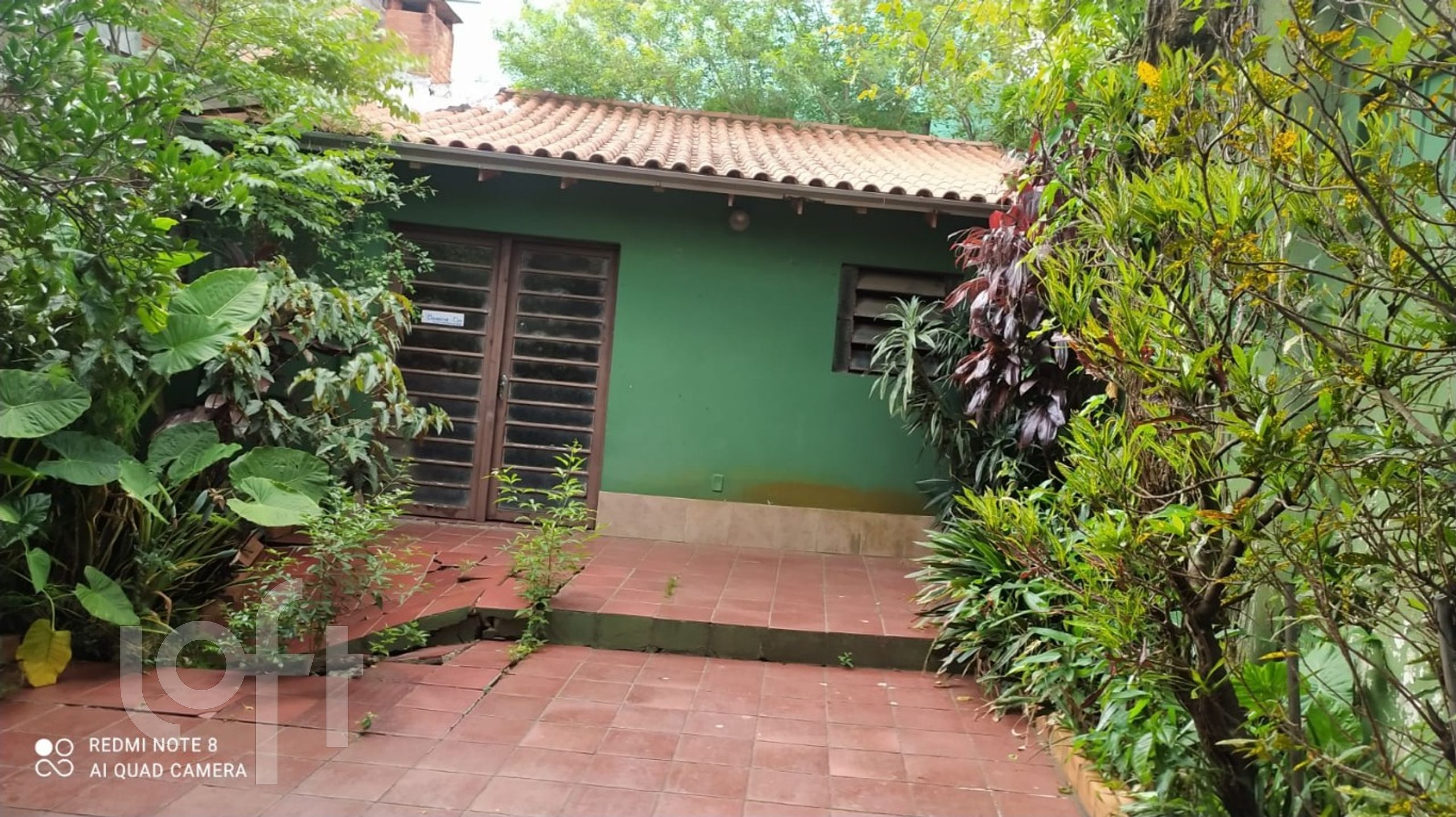 Imagem da propriedade 31