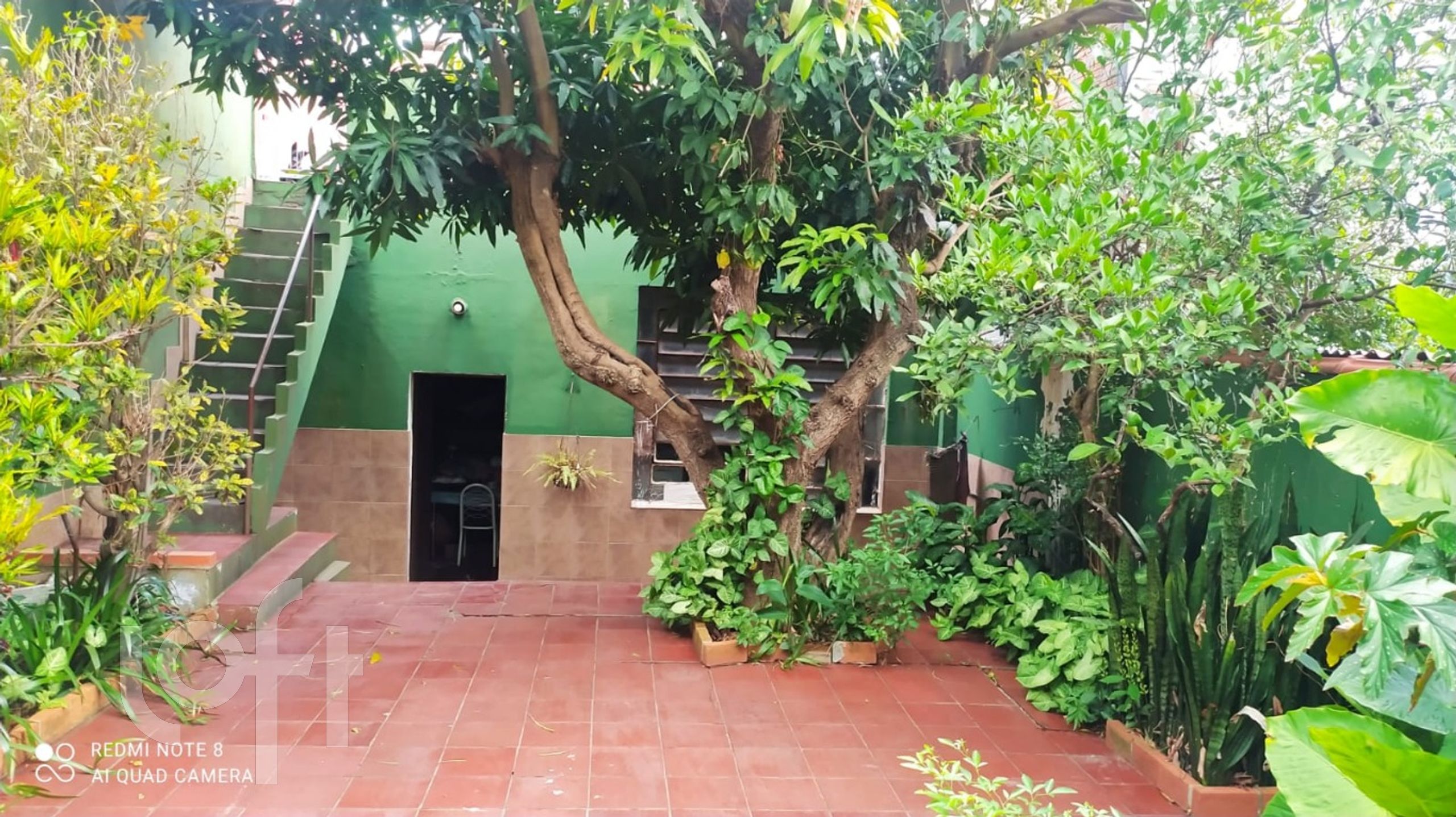 Imagem da propriedade 6