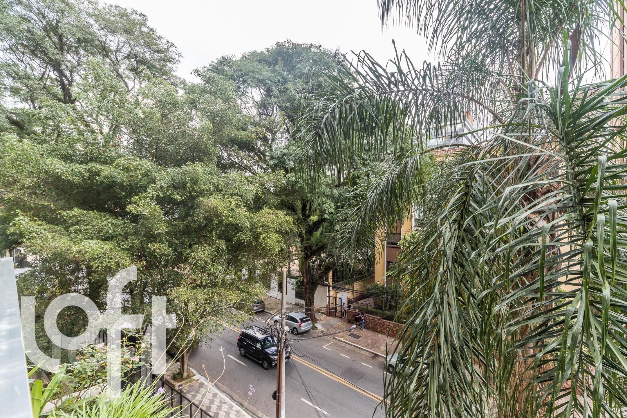 Imagem da propriedade PU1eywa32 15