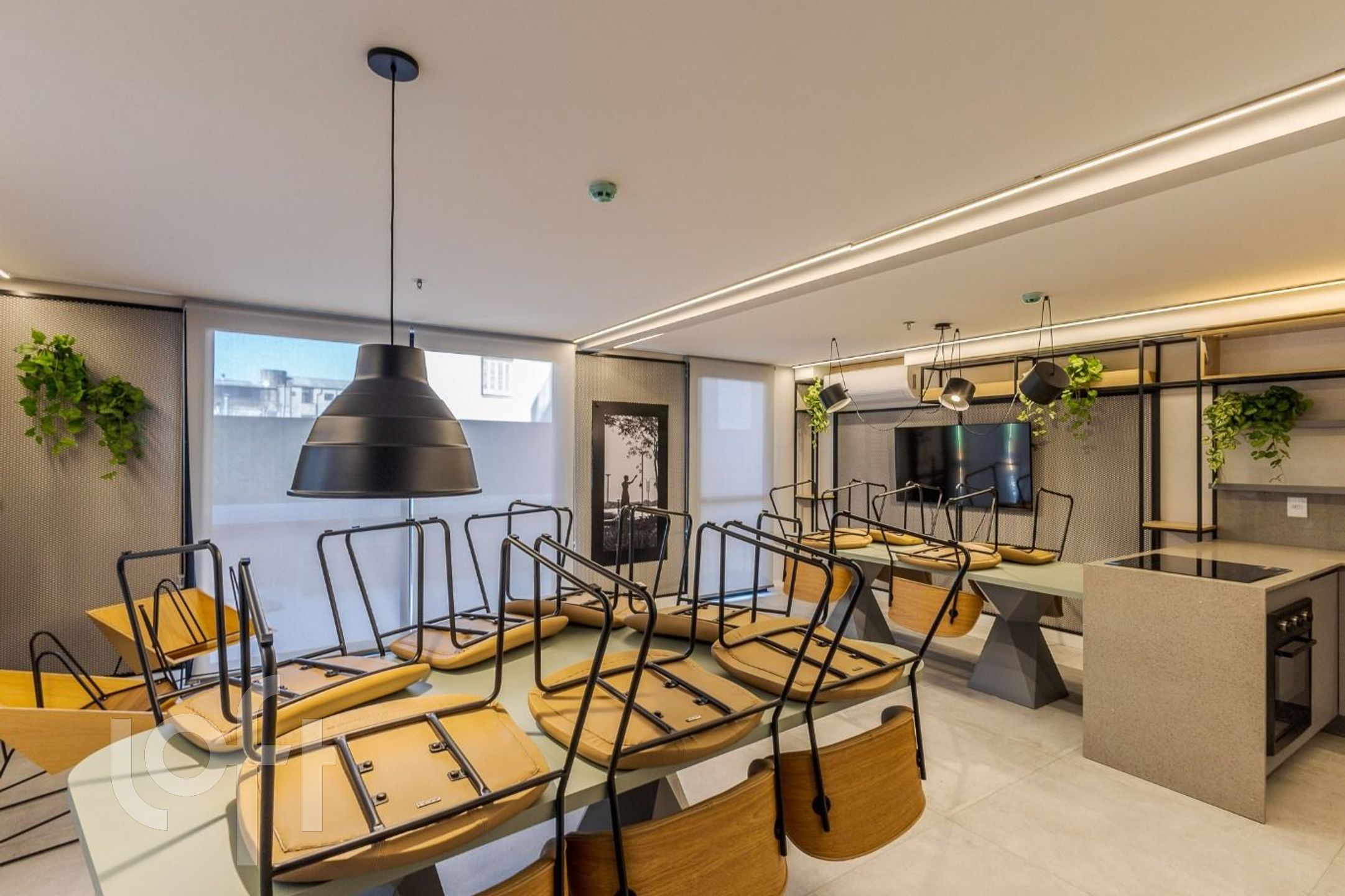 Imagem da propriedade 37