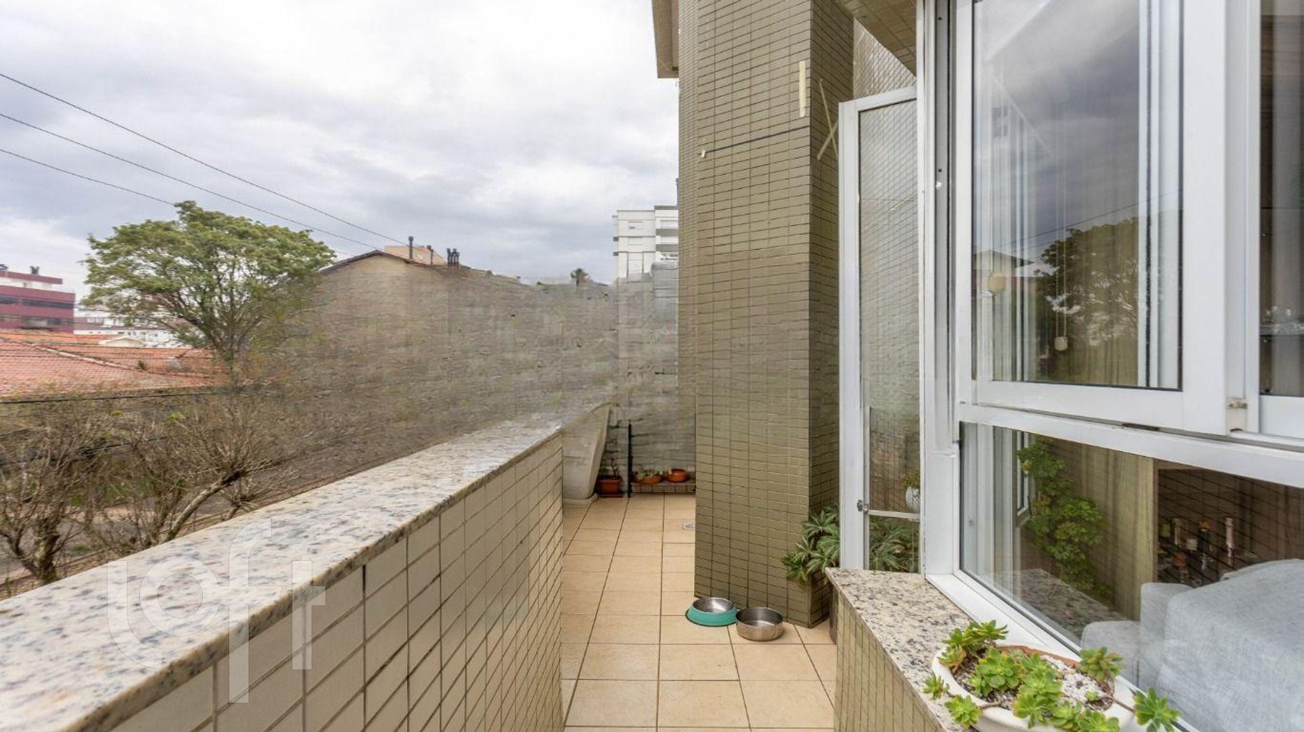 Imagem da propriedade 21