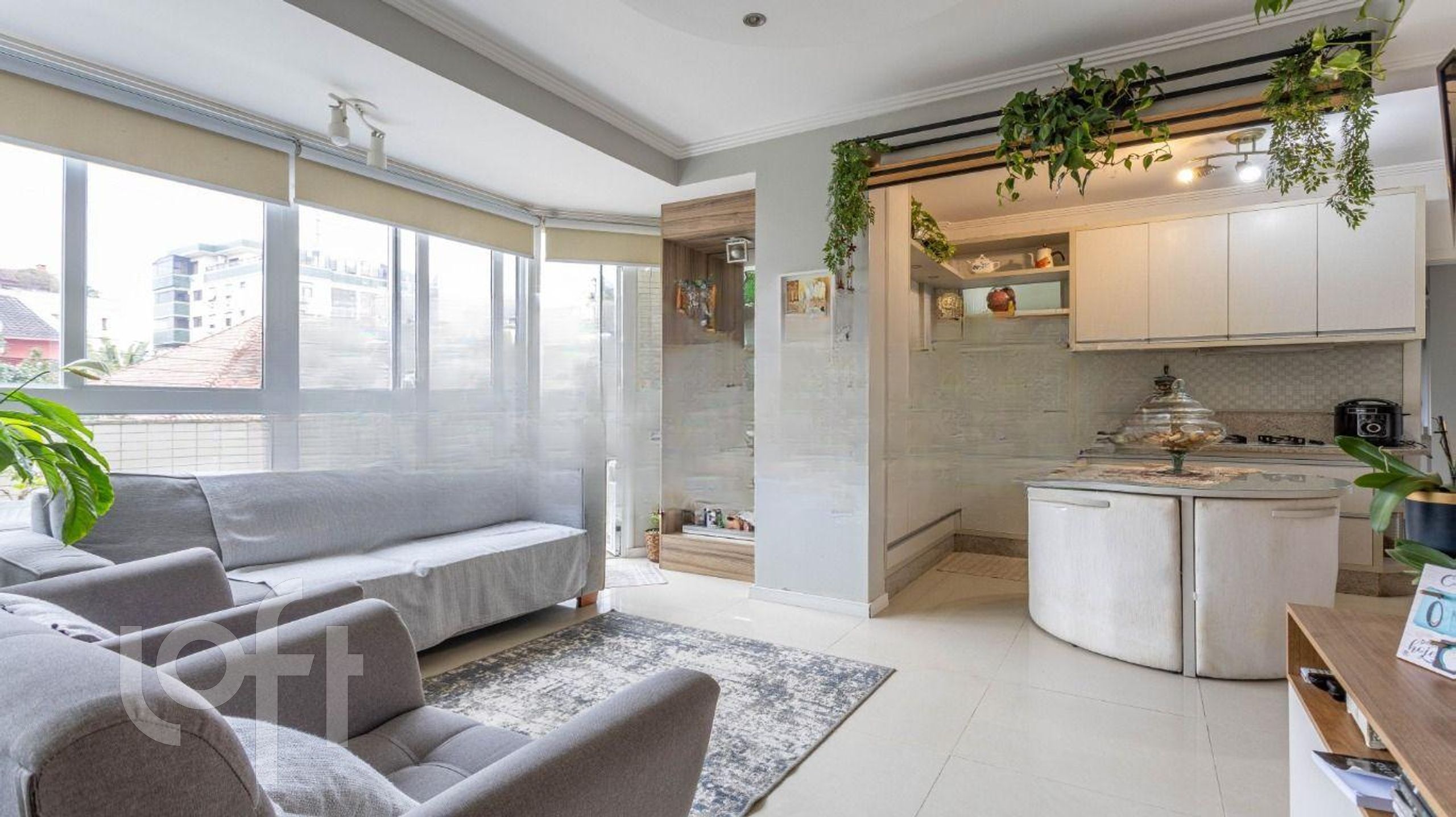 Imagem da propriedade 7