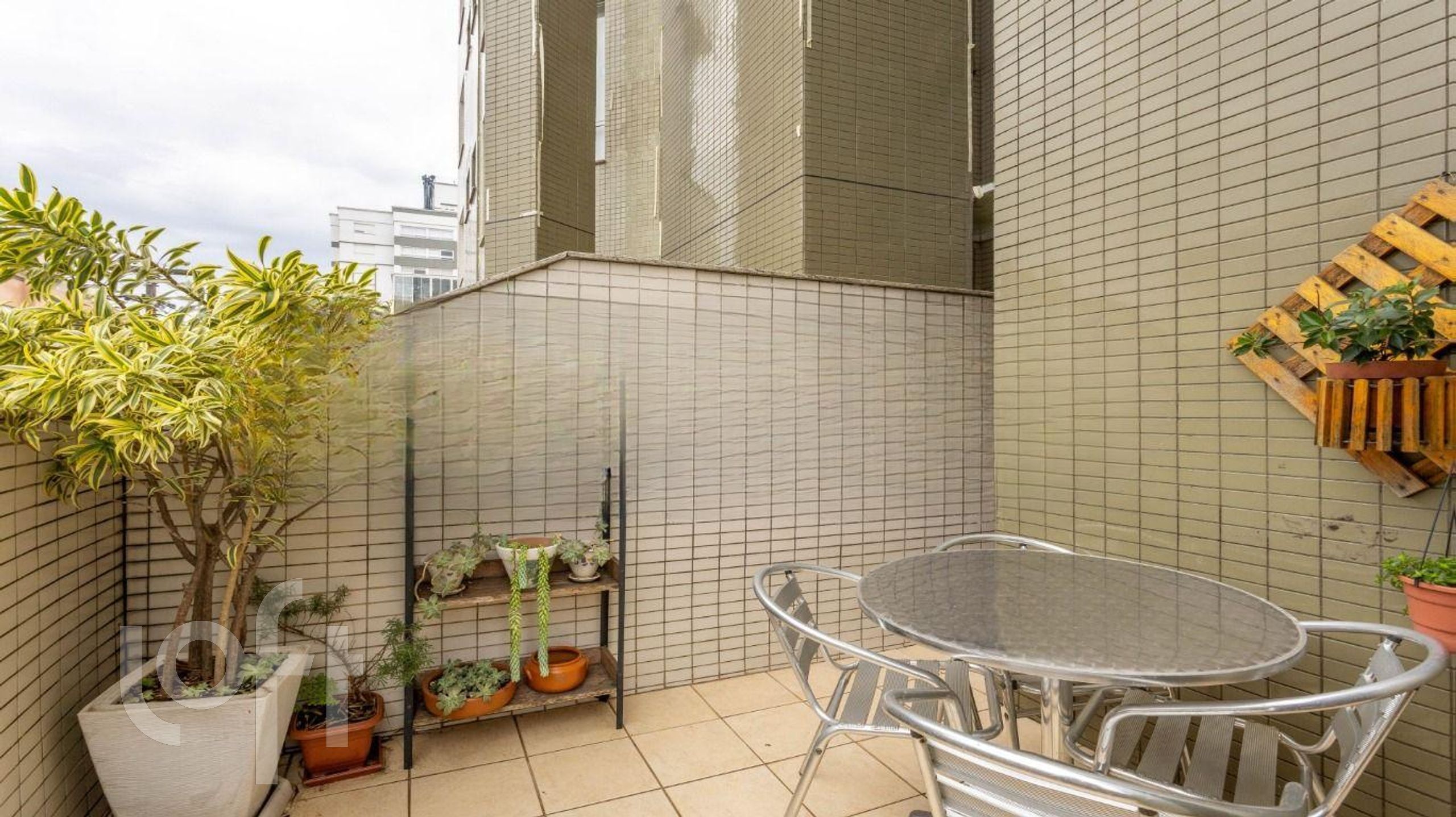 Imagem da propriedade 3