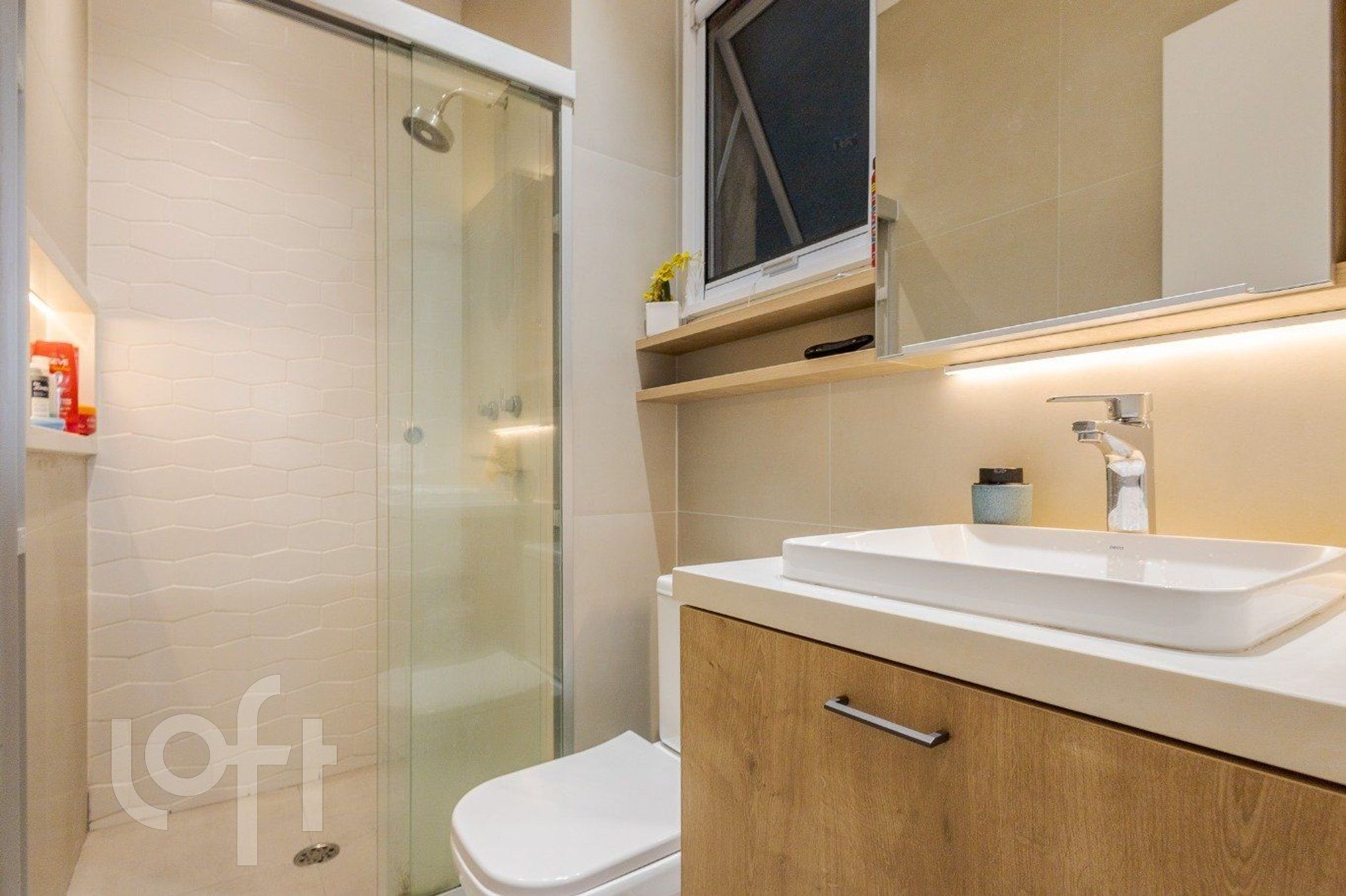 Imagem da propriedade 30