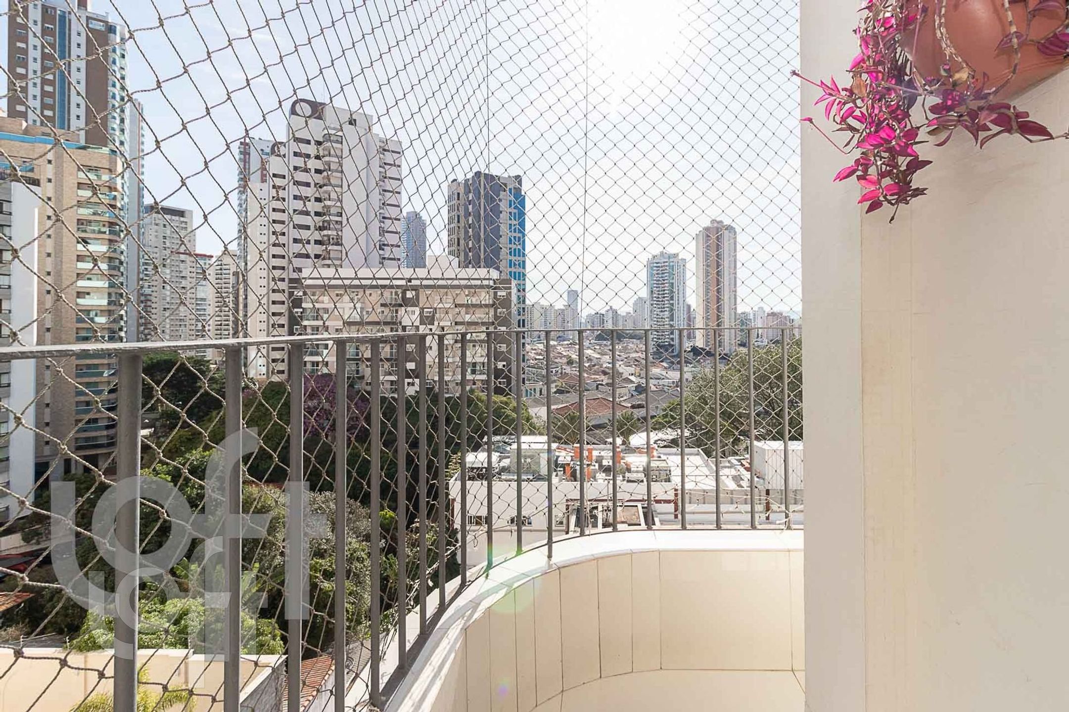 Imagem da propriedade 25