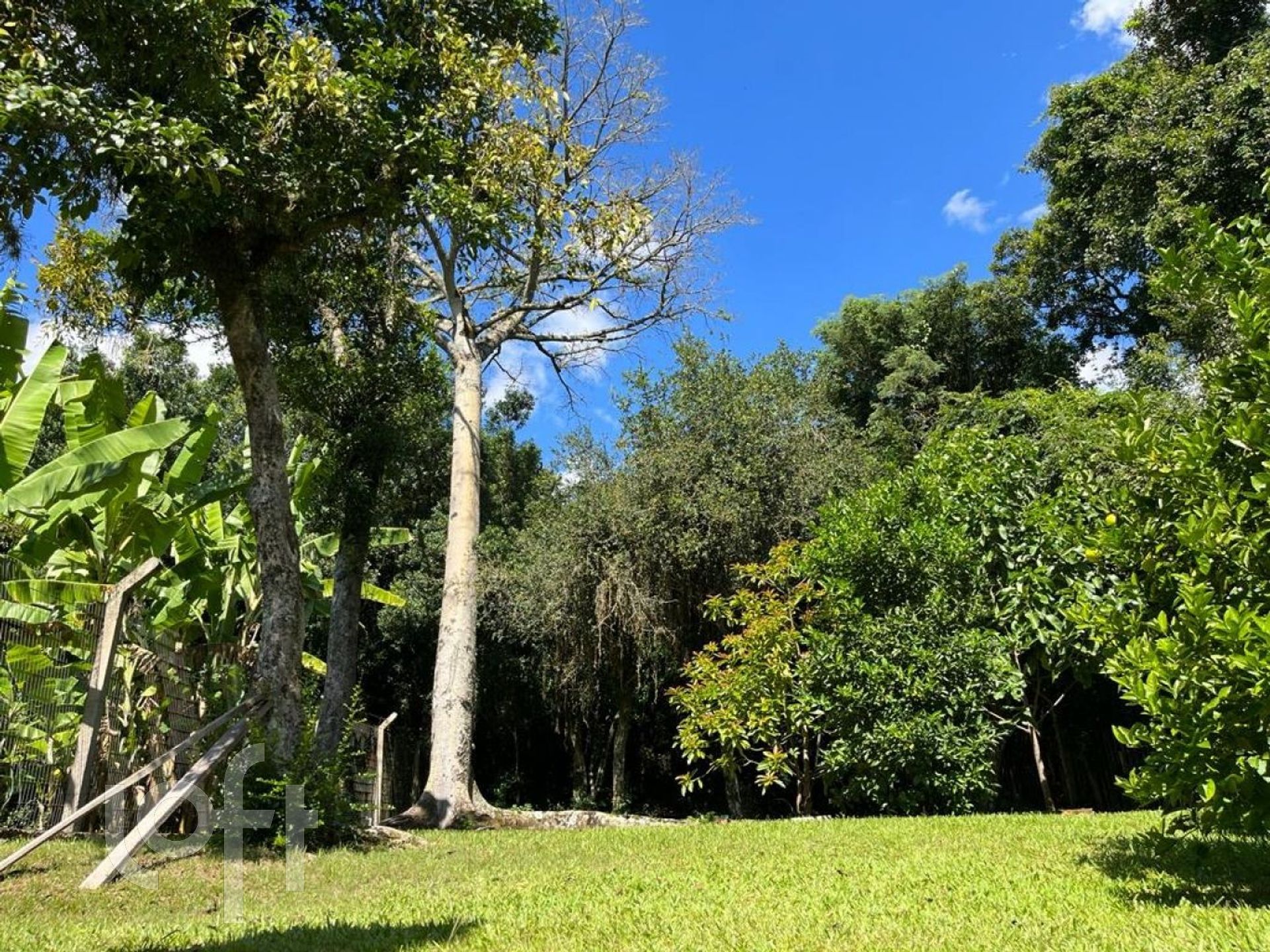 Imagem da propriedade 43