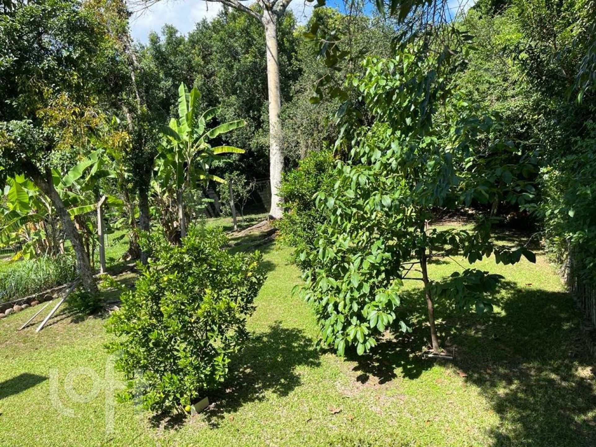 Imagem da propriedade 42