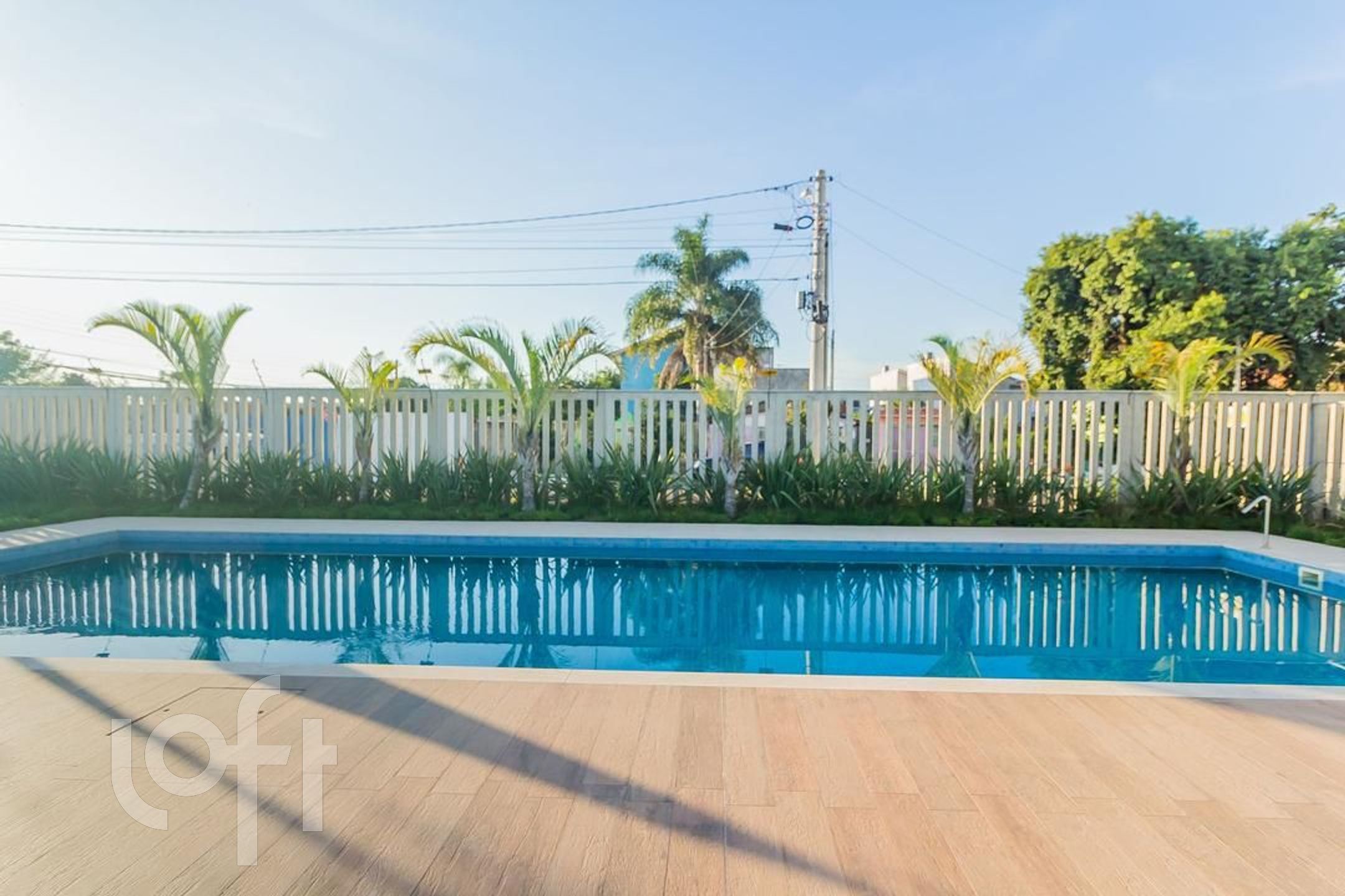 Imagem da propriedade 19