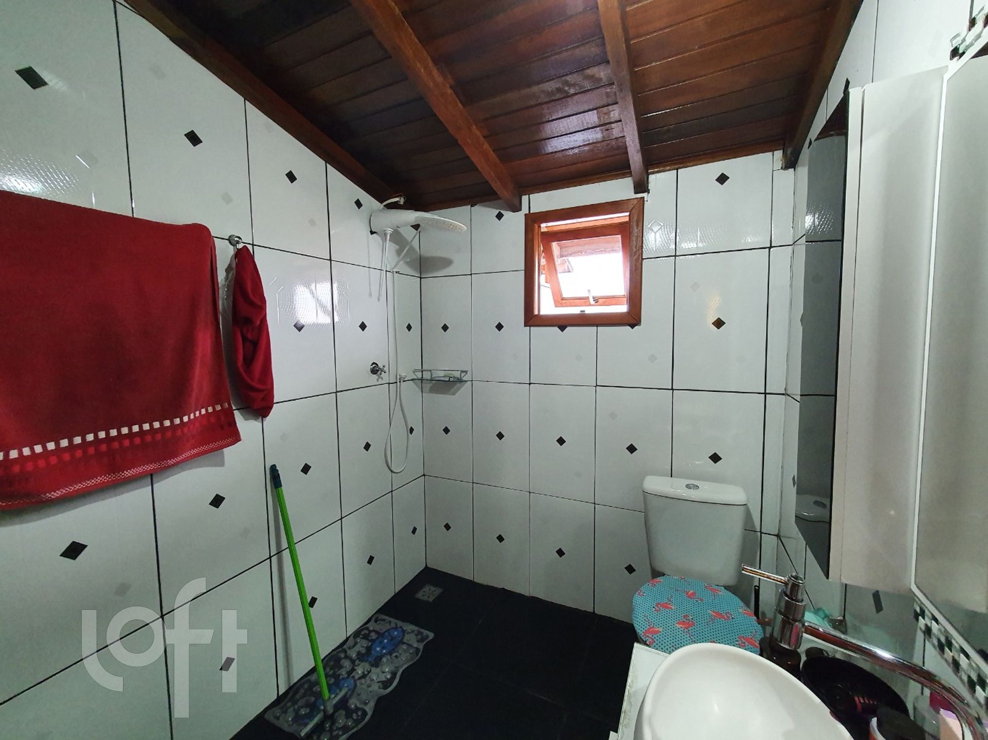 Imagem da propriedade 12