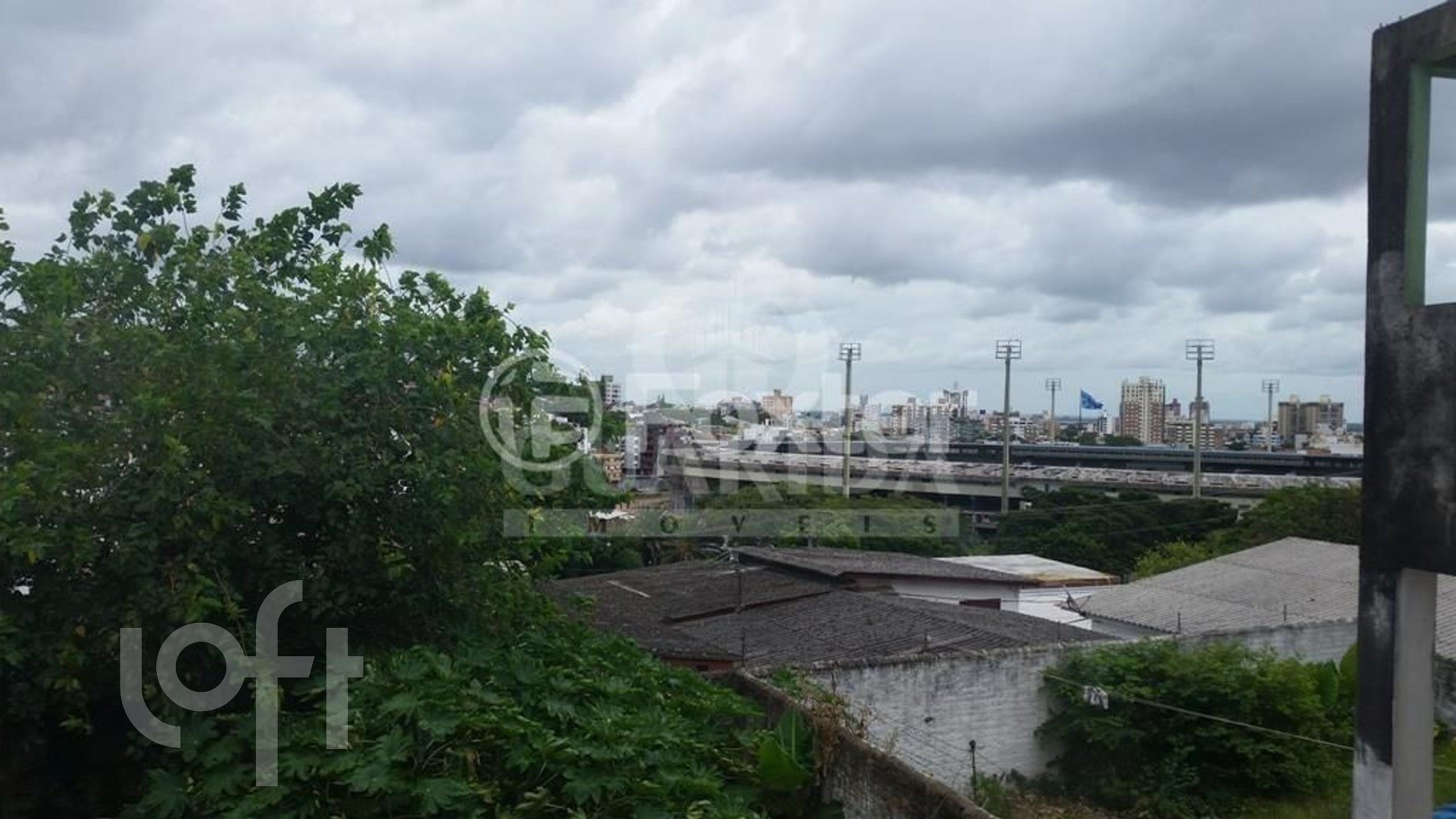 Imagem da propriedade 3