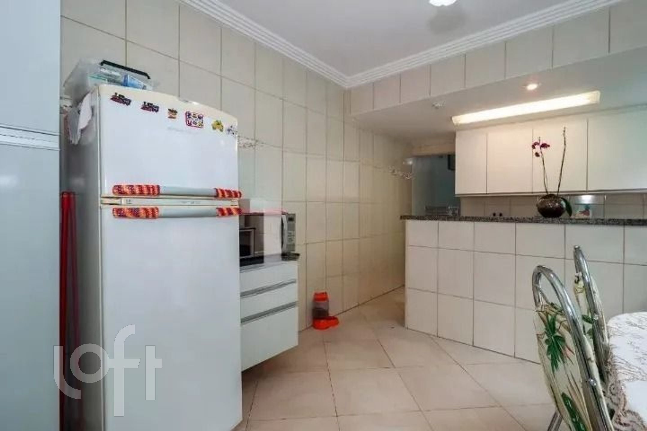 Imagem da propriedade 6