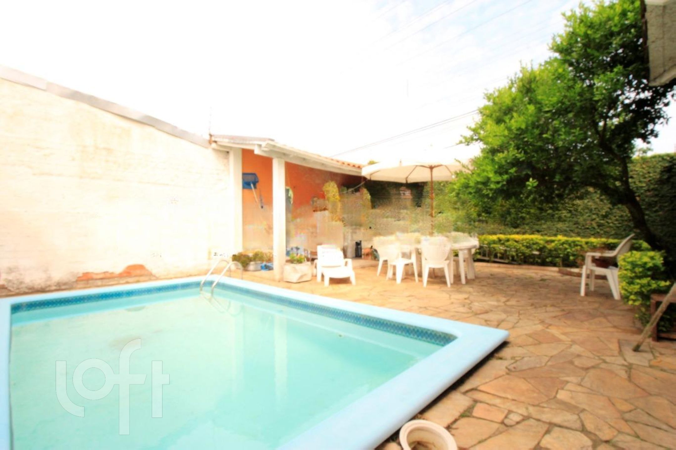 Imagem da propriedade 19