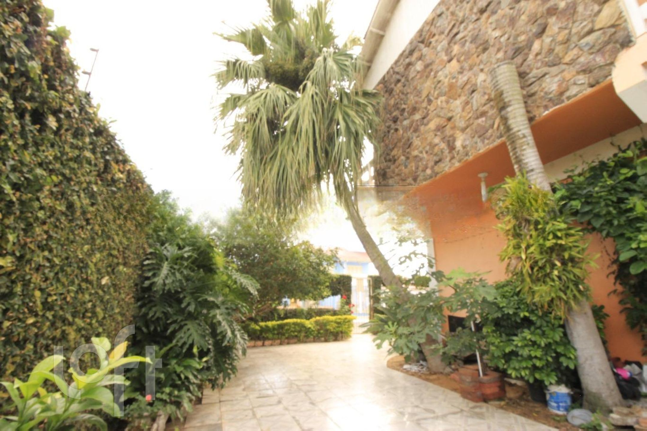 Imagem da propriedade 20