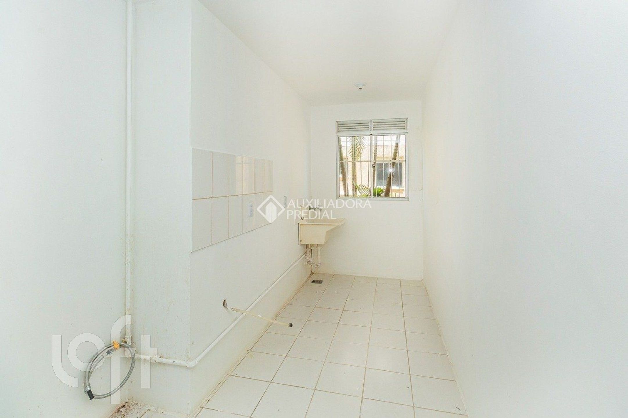 Imagem da propriedade 7