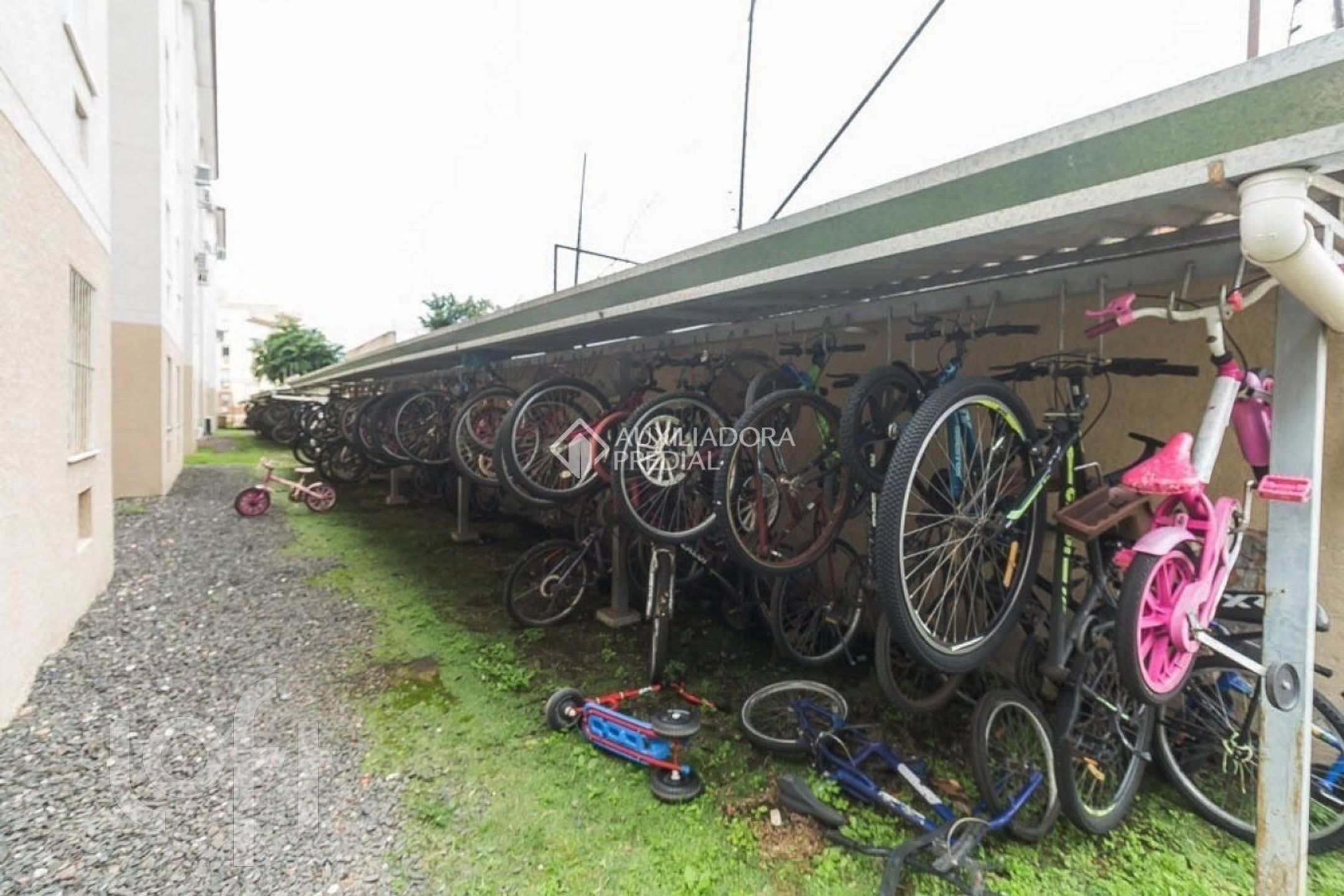 Imagem da propriedade 33