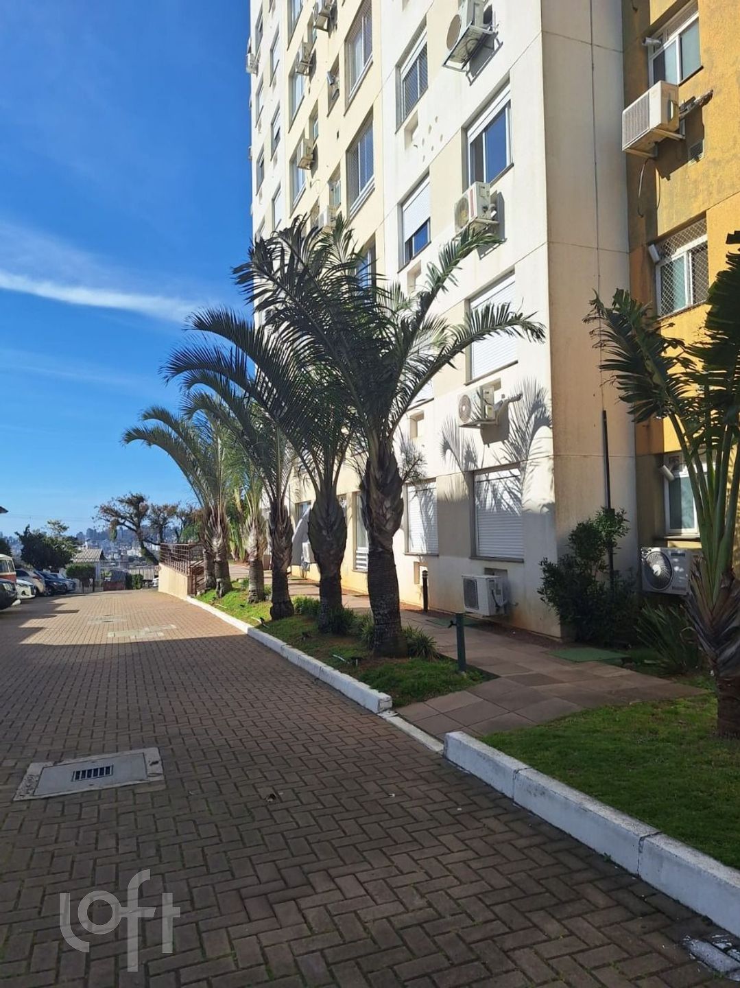 Imagem da propriedade 6