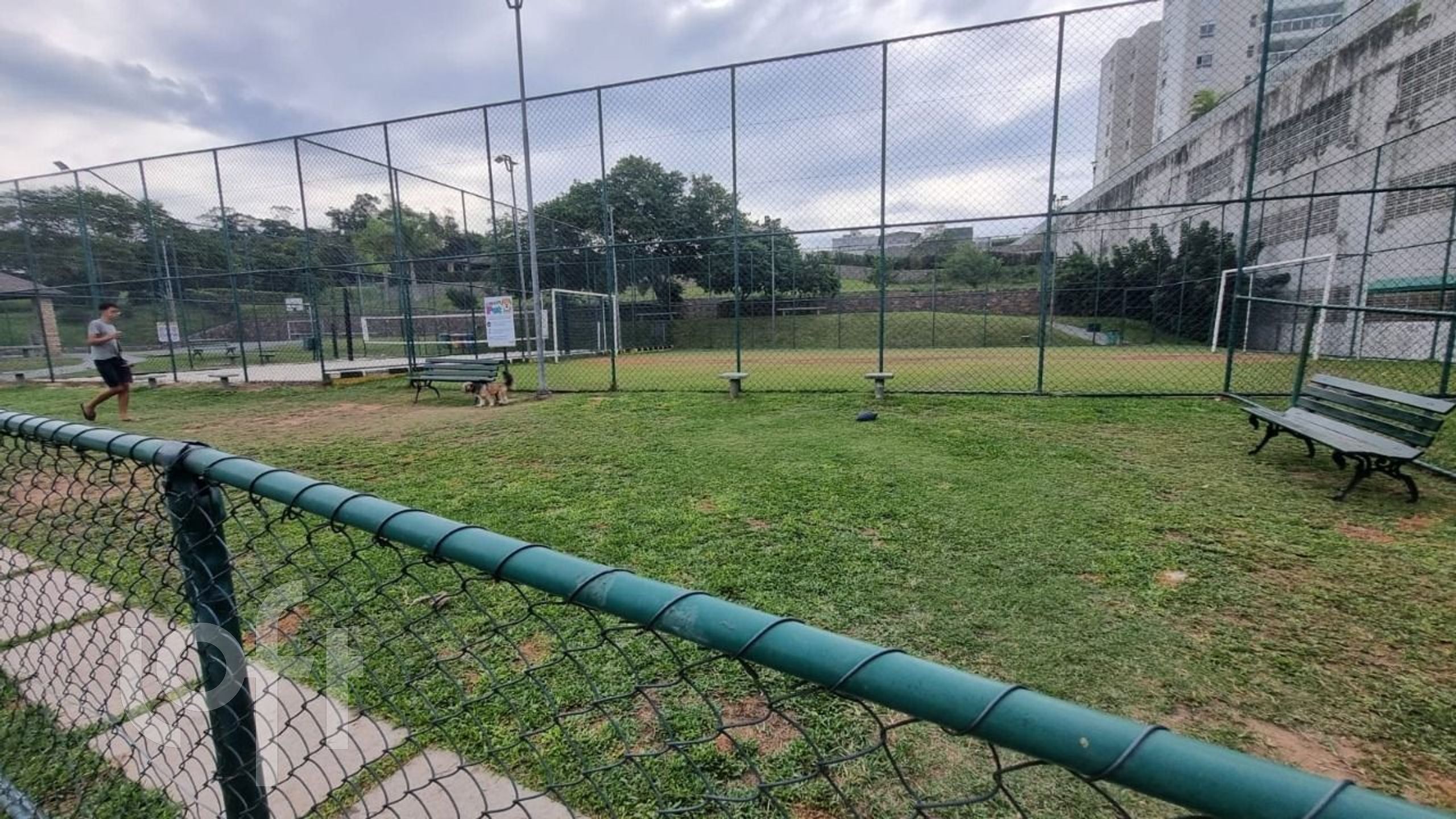 Imagem da propriedade 39