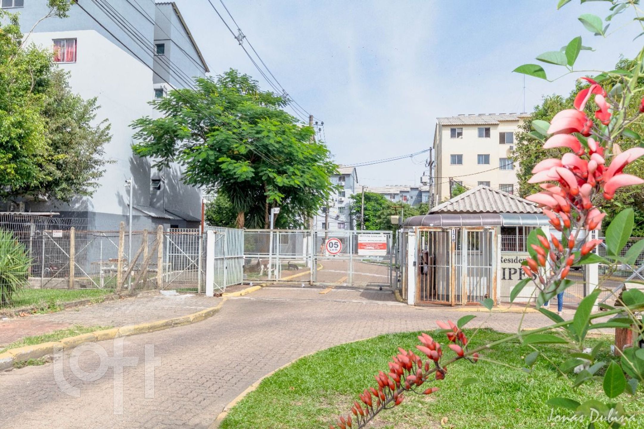 Imagem da propriedade 22