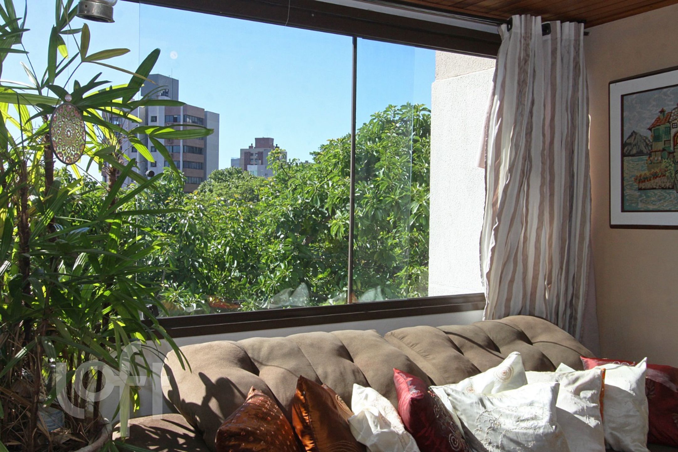 Imagem da propriedade 7