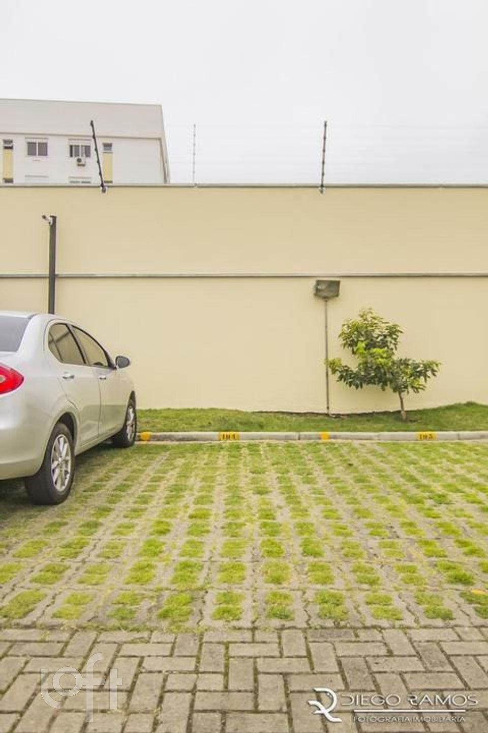 Imagem da propriedade 19