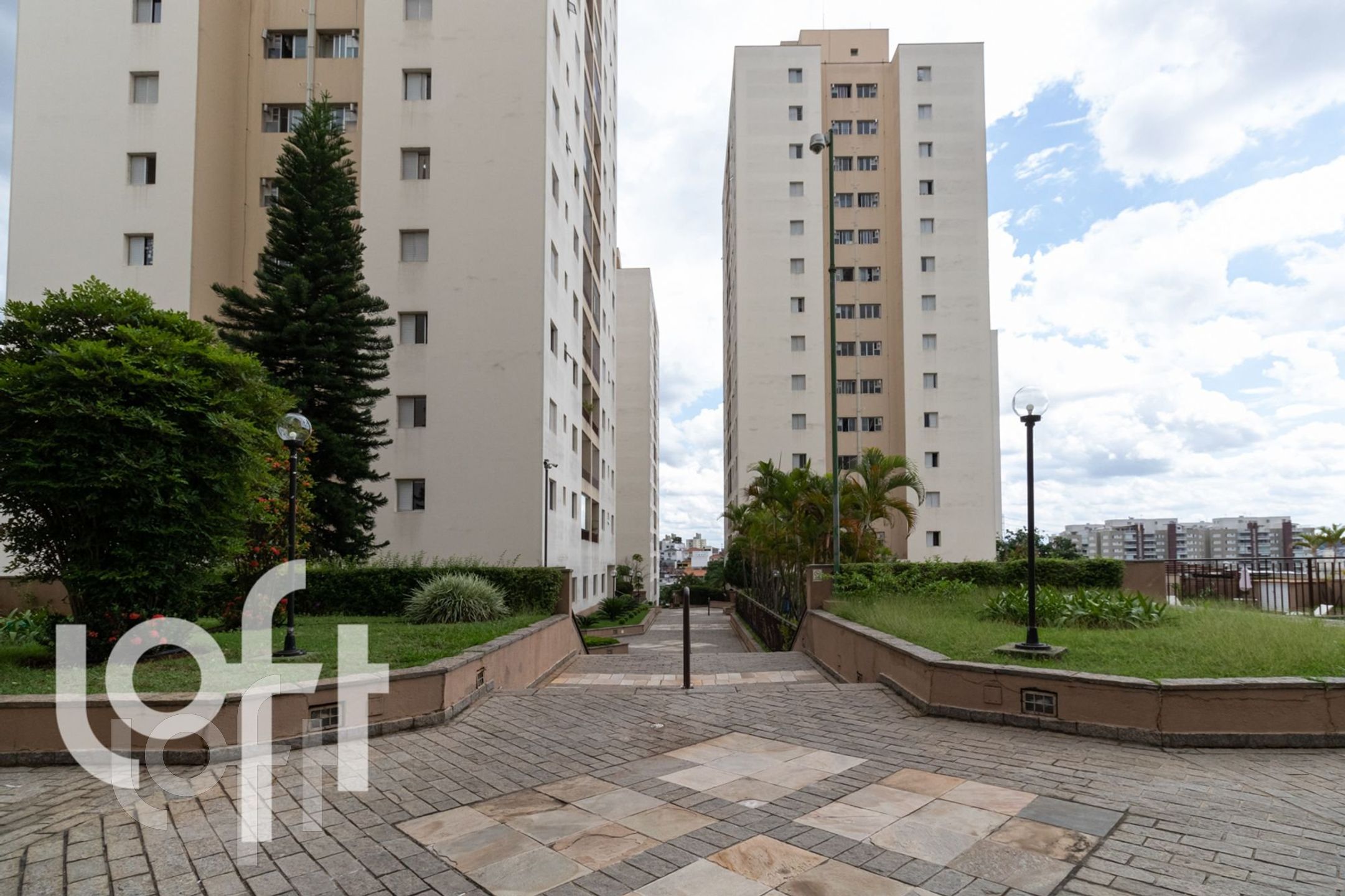 Imagem da propriedade 60