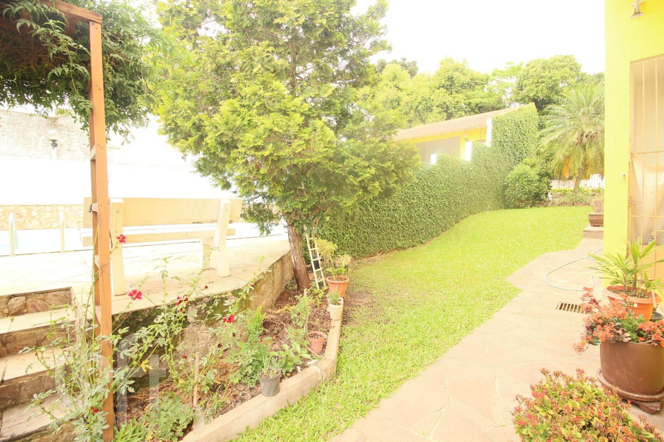 Imagem da propriedade 25