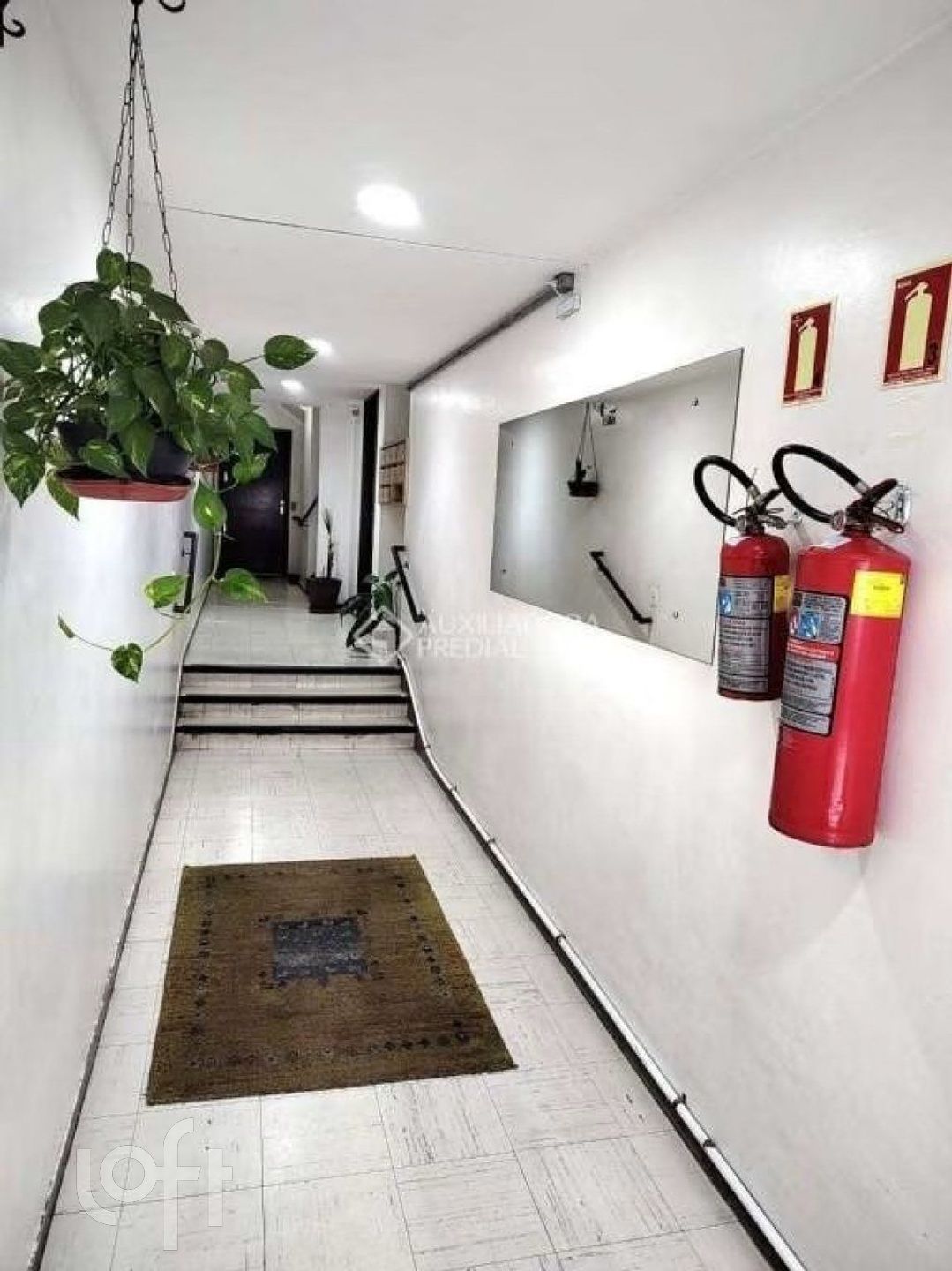 Imagem da propriedade 13