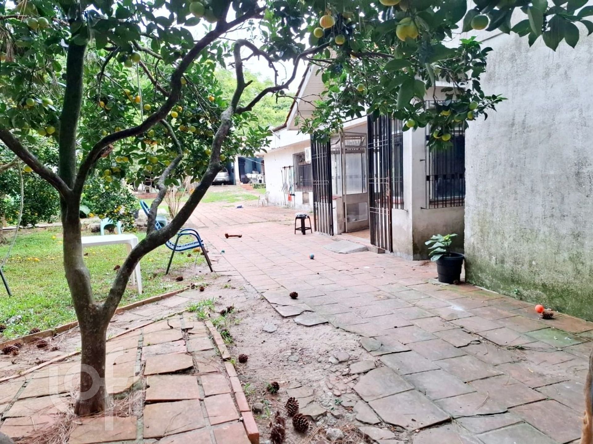 Imagem da propriedade 9