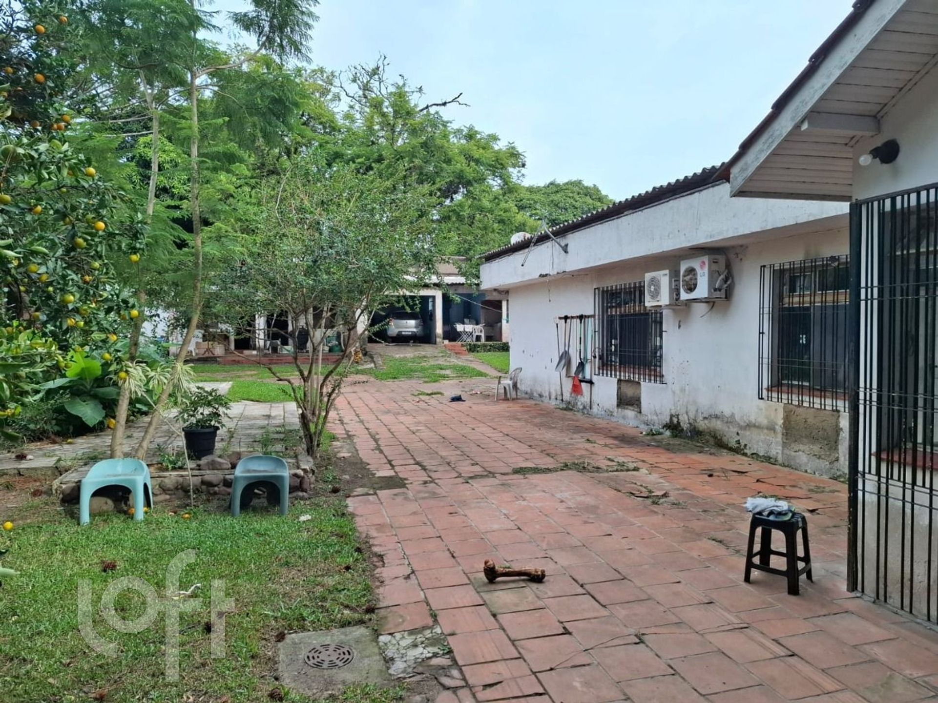 Imagem da propriedade 3