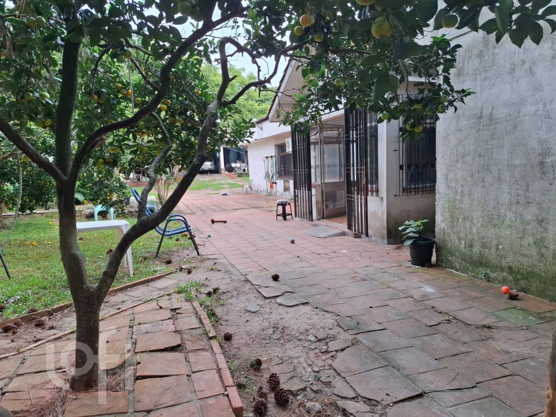 Imagem da propriedade 8