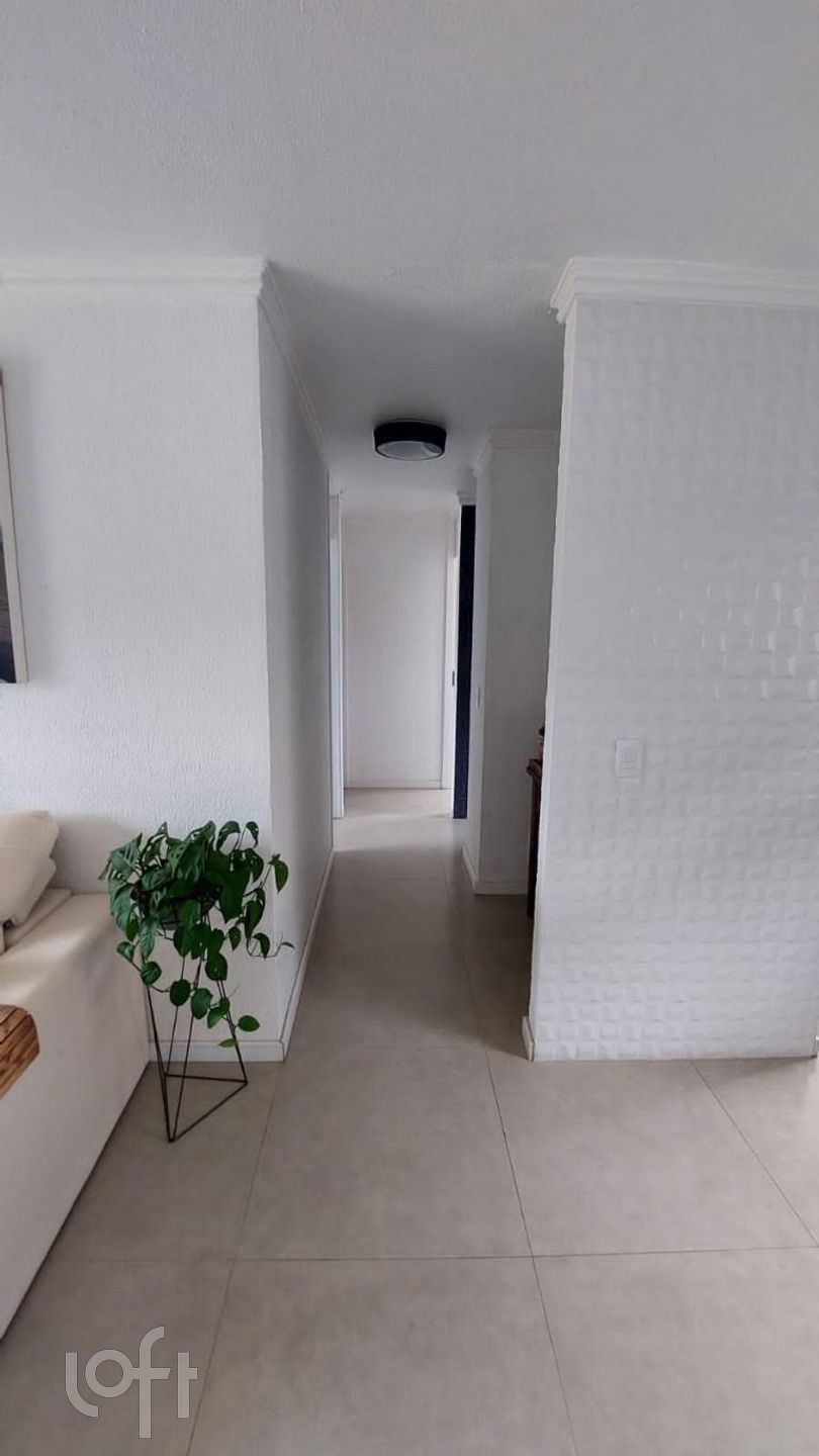 Imagem da propriedade 12