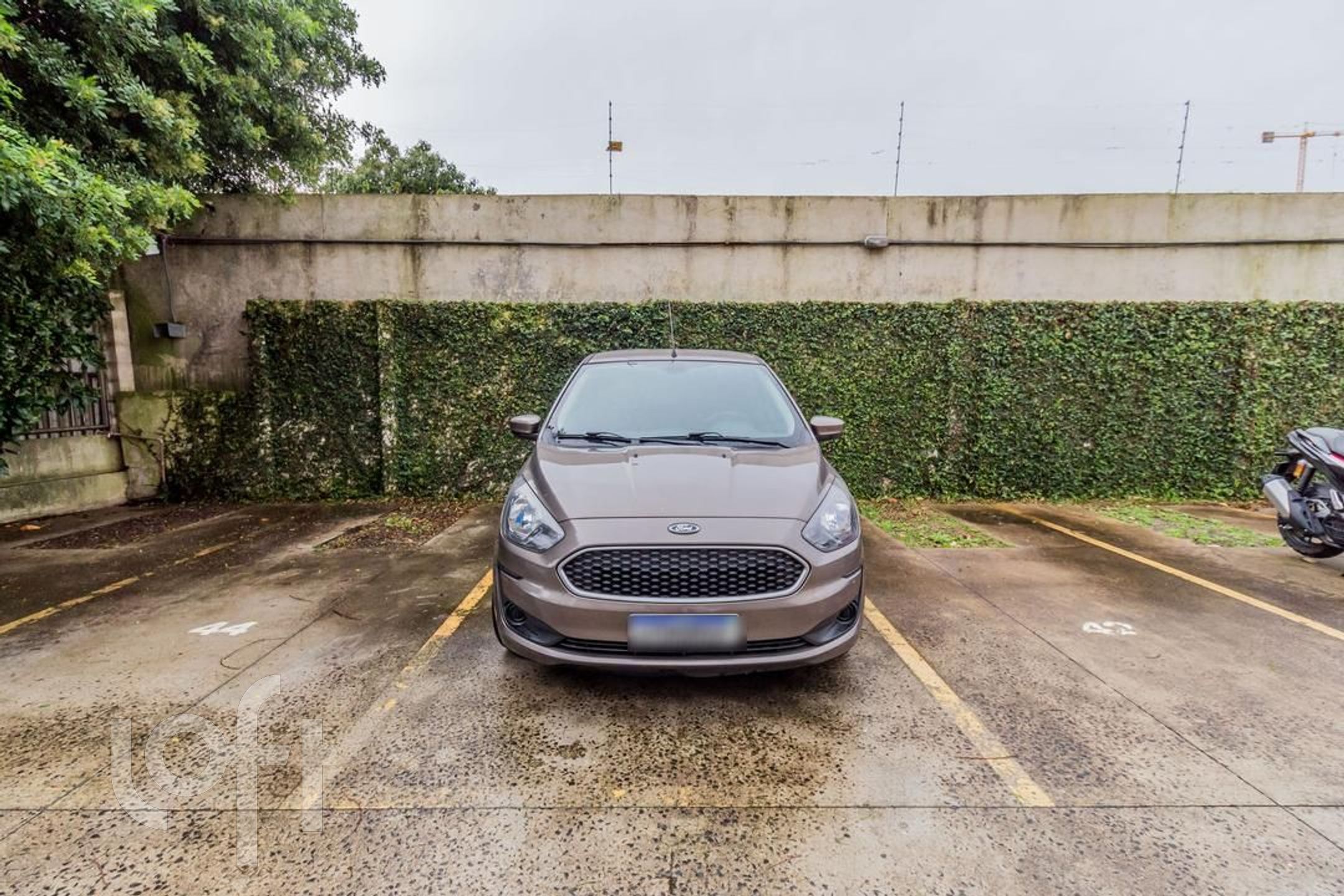 Imagem da propriedade 28