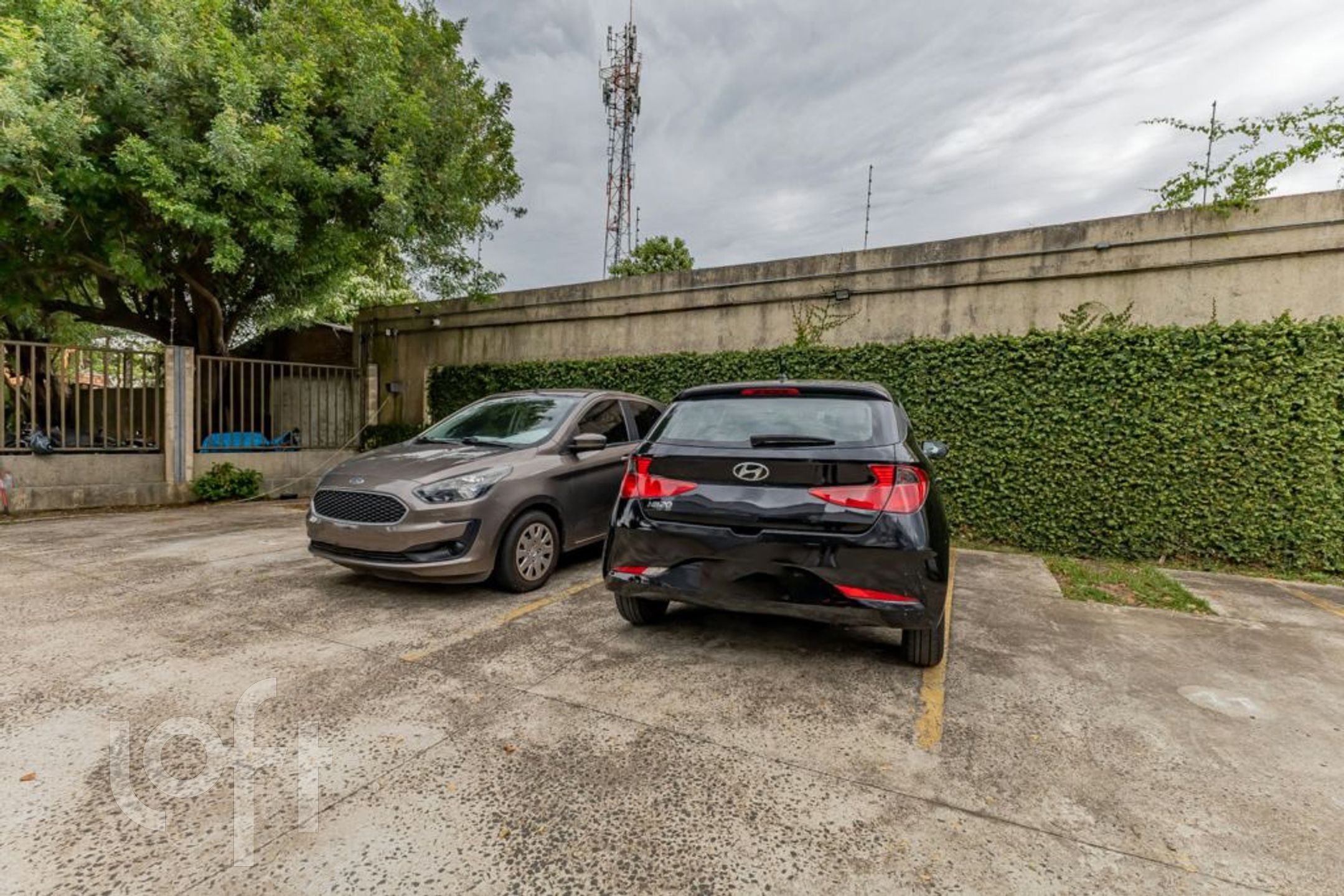 Imagem da propriedade 31