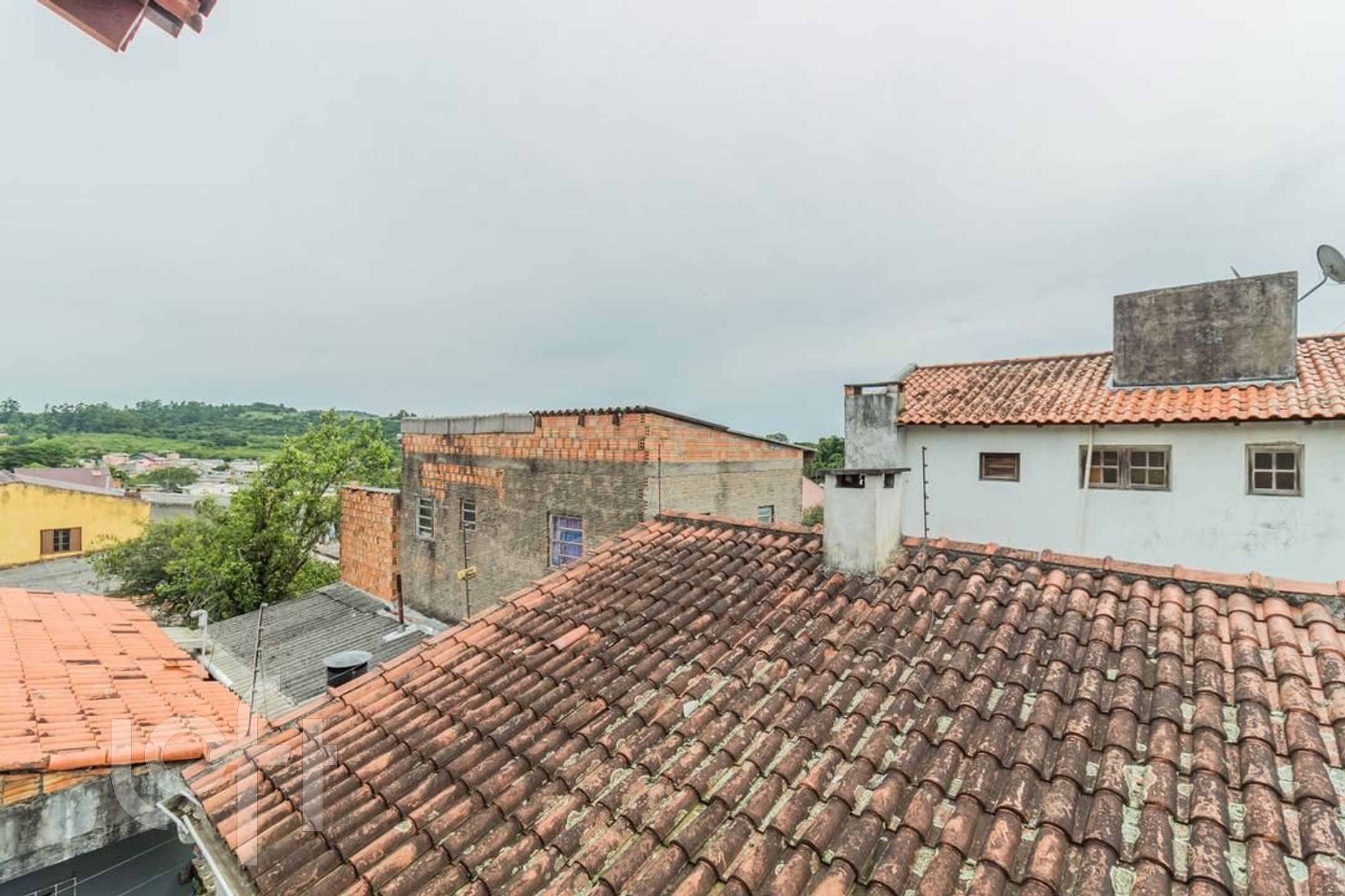 Imagem da propriedade 20