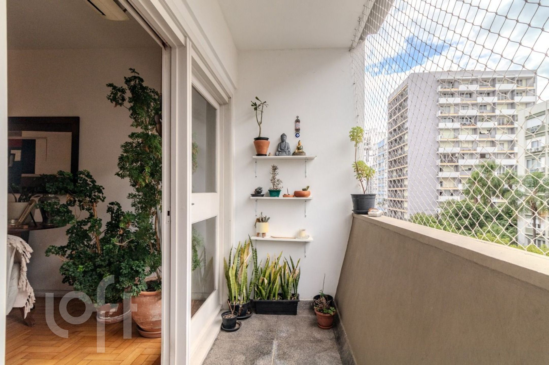 Imagem da propriedade 4