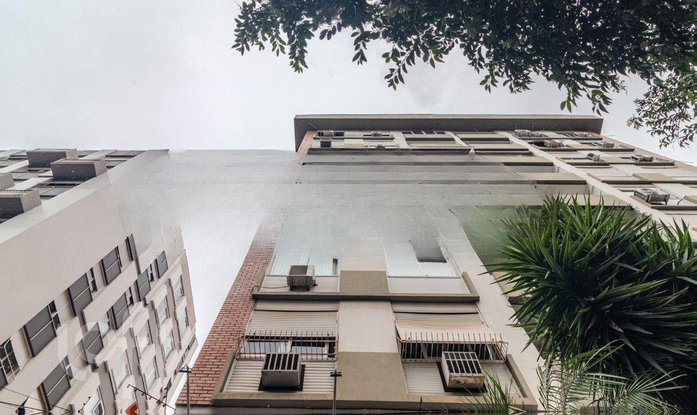 Imagem da propriedade 13