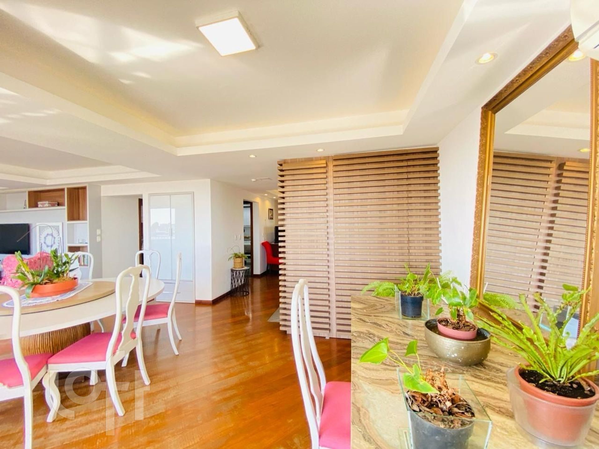 Imagem da propriedade 3