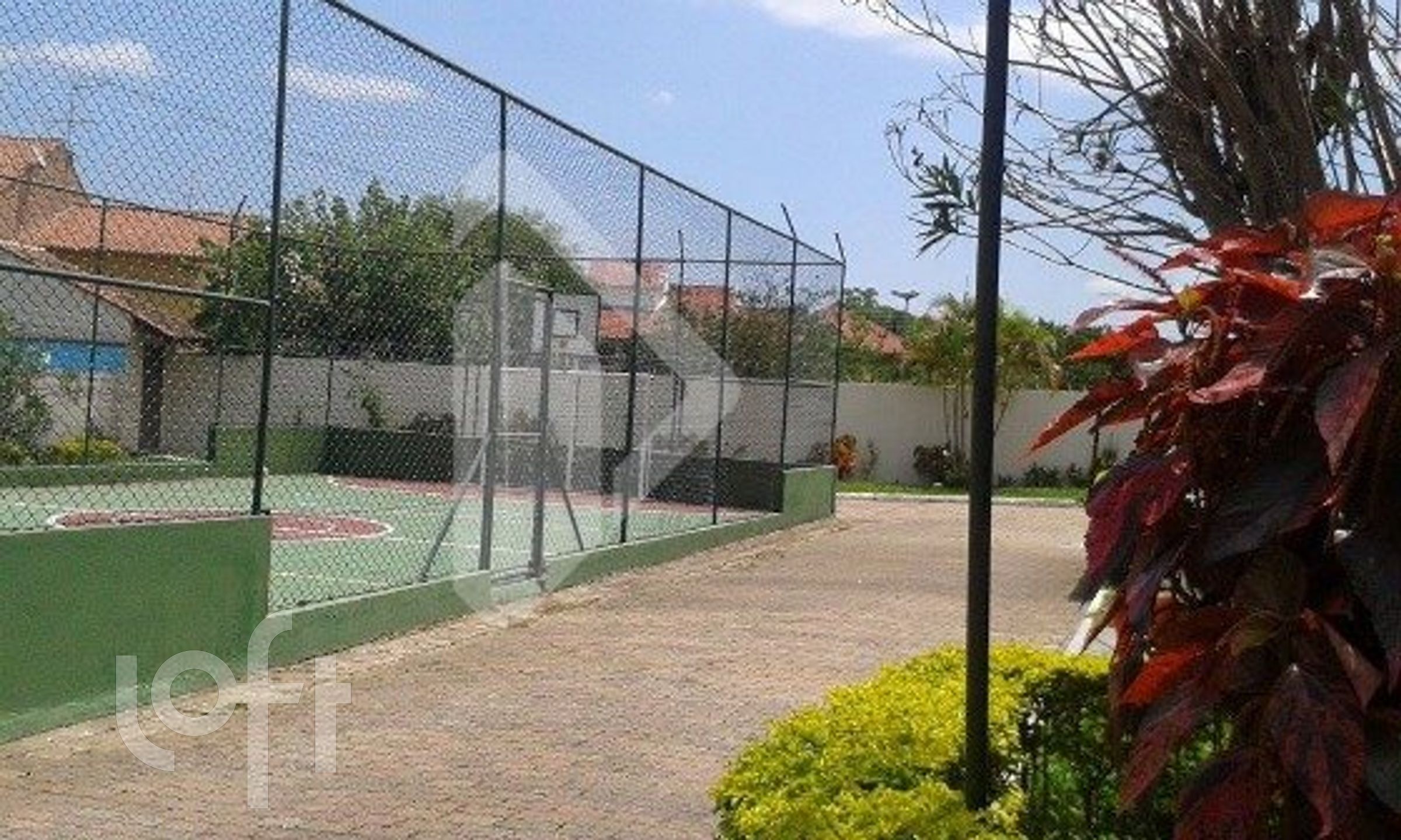 Imagem da propriedade 19