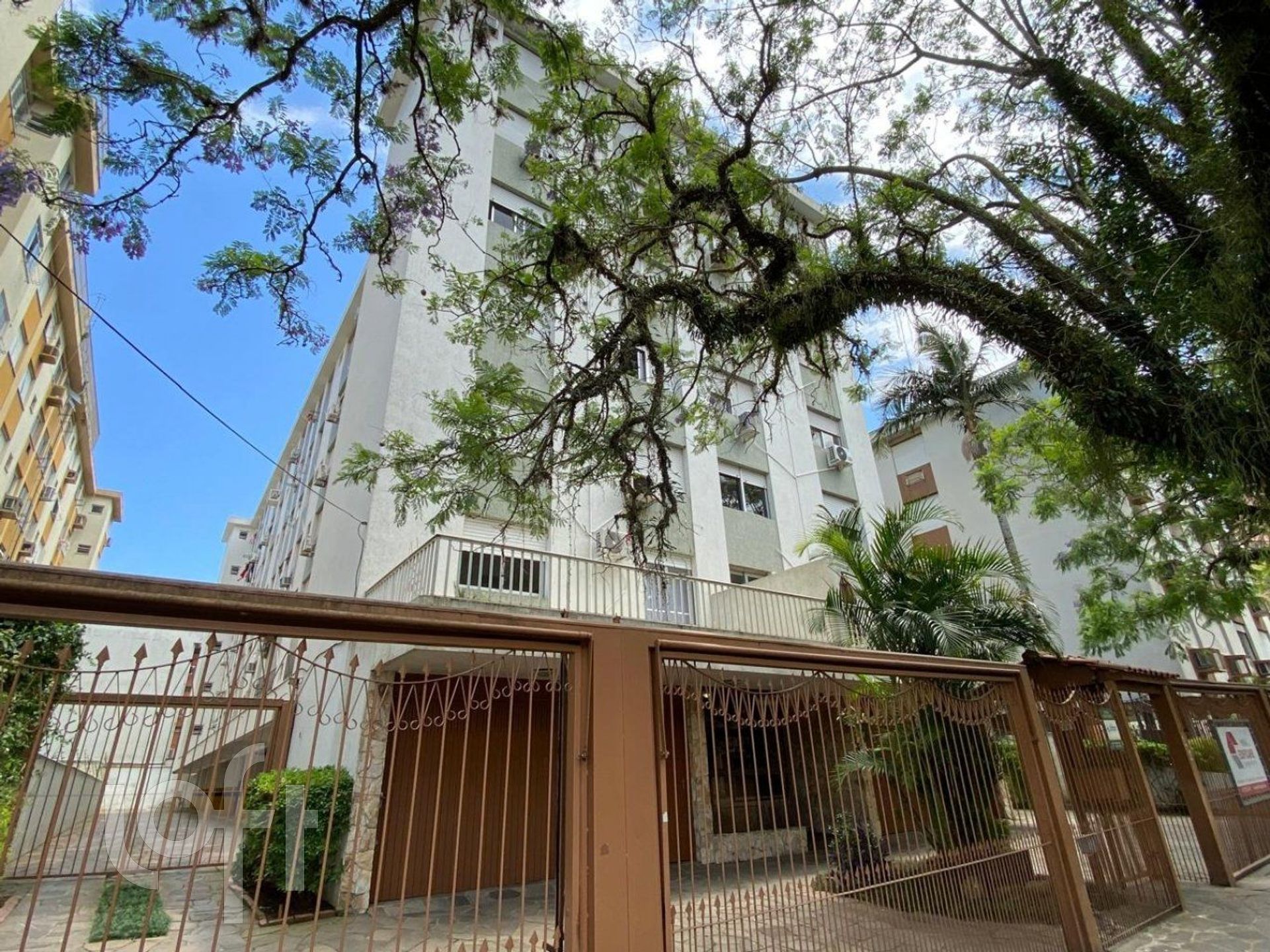 Imagem da propriedade 15