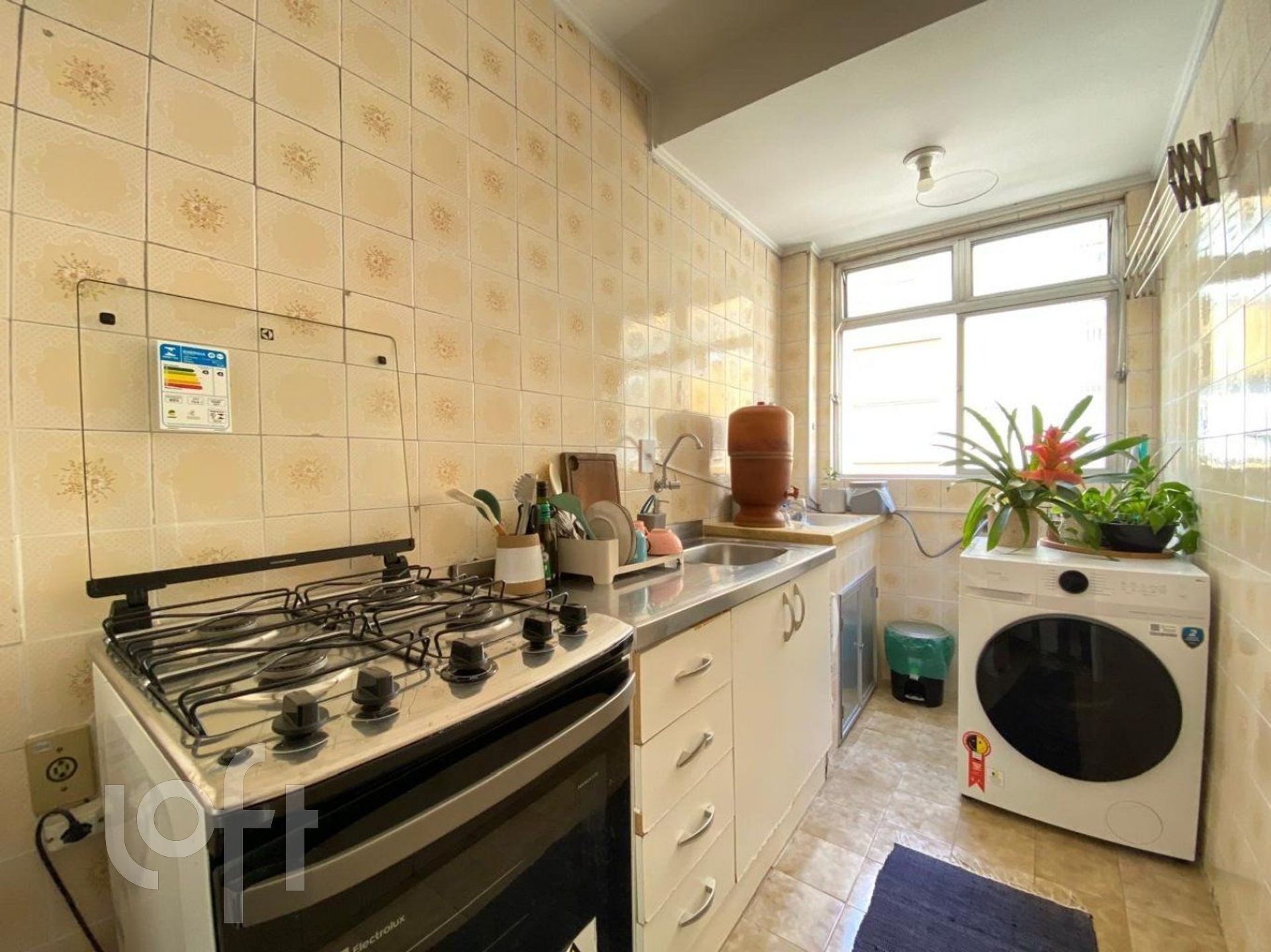 Imagem da propriedade 6