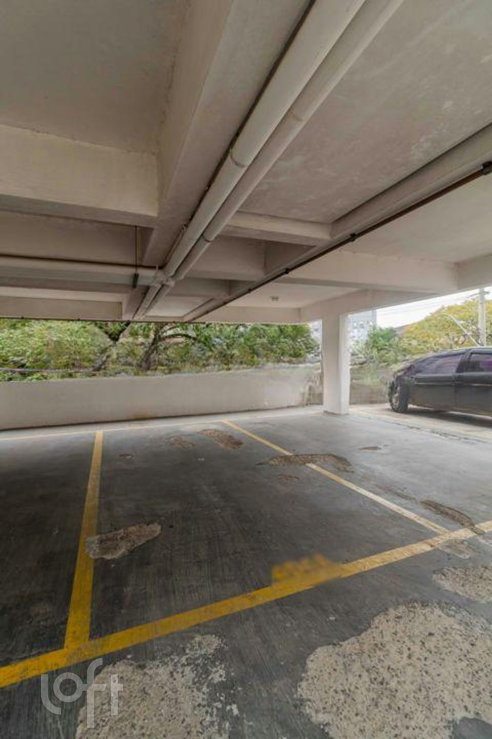 Imagem da propriedade 21