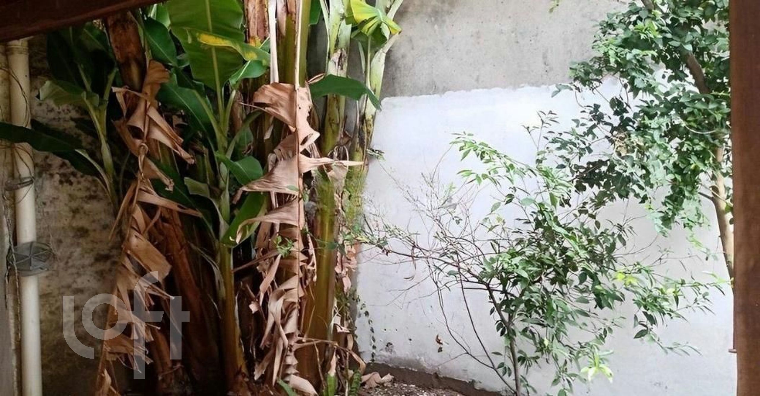 Imagem da propriedade 15