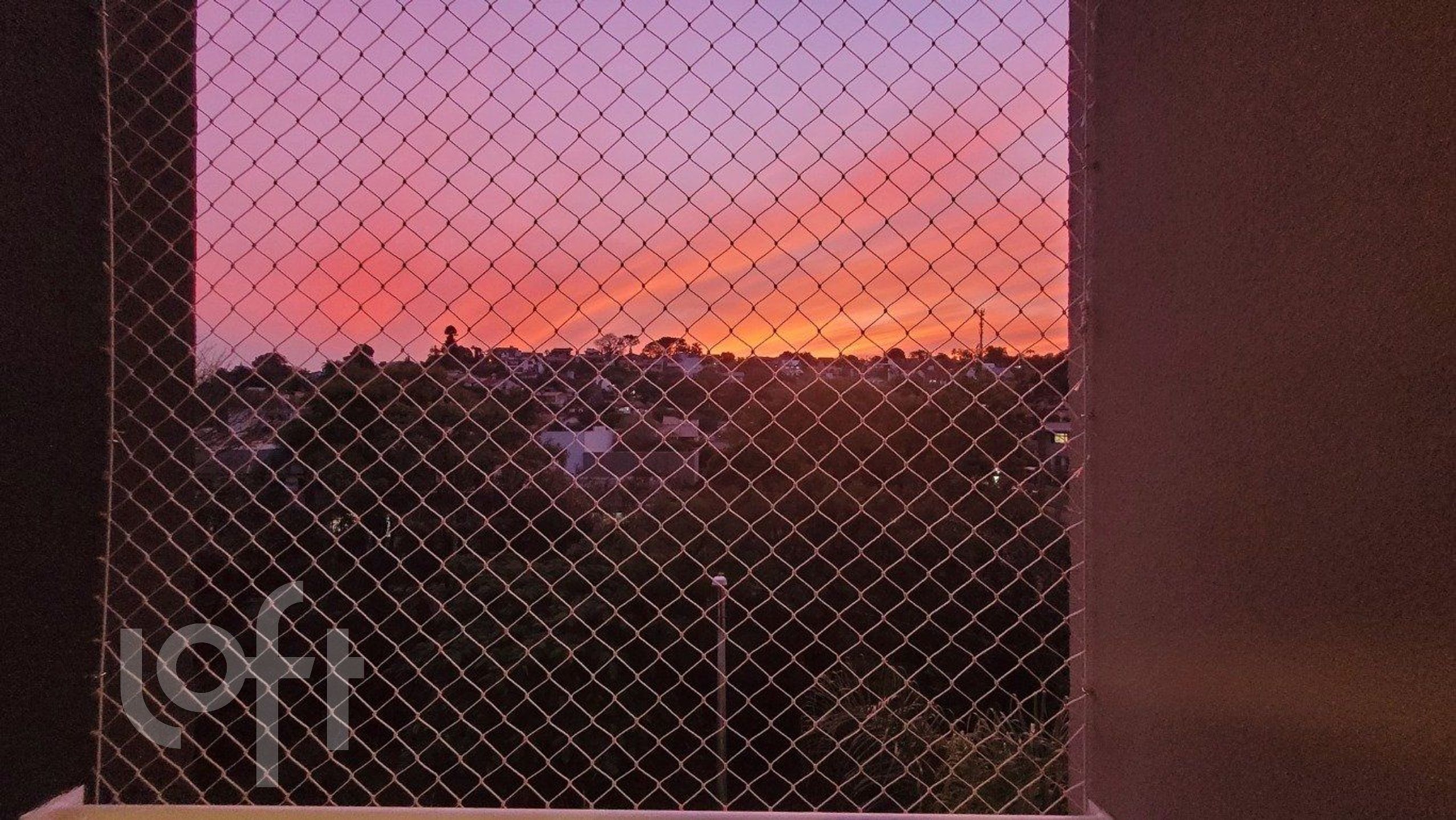 Imagem da propriedade 3
