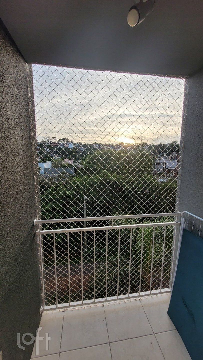 Imagem da propriedade 9