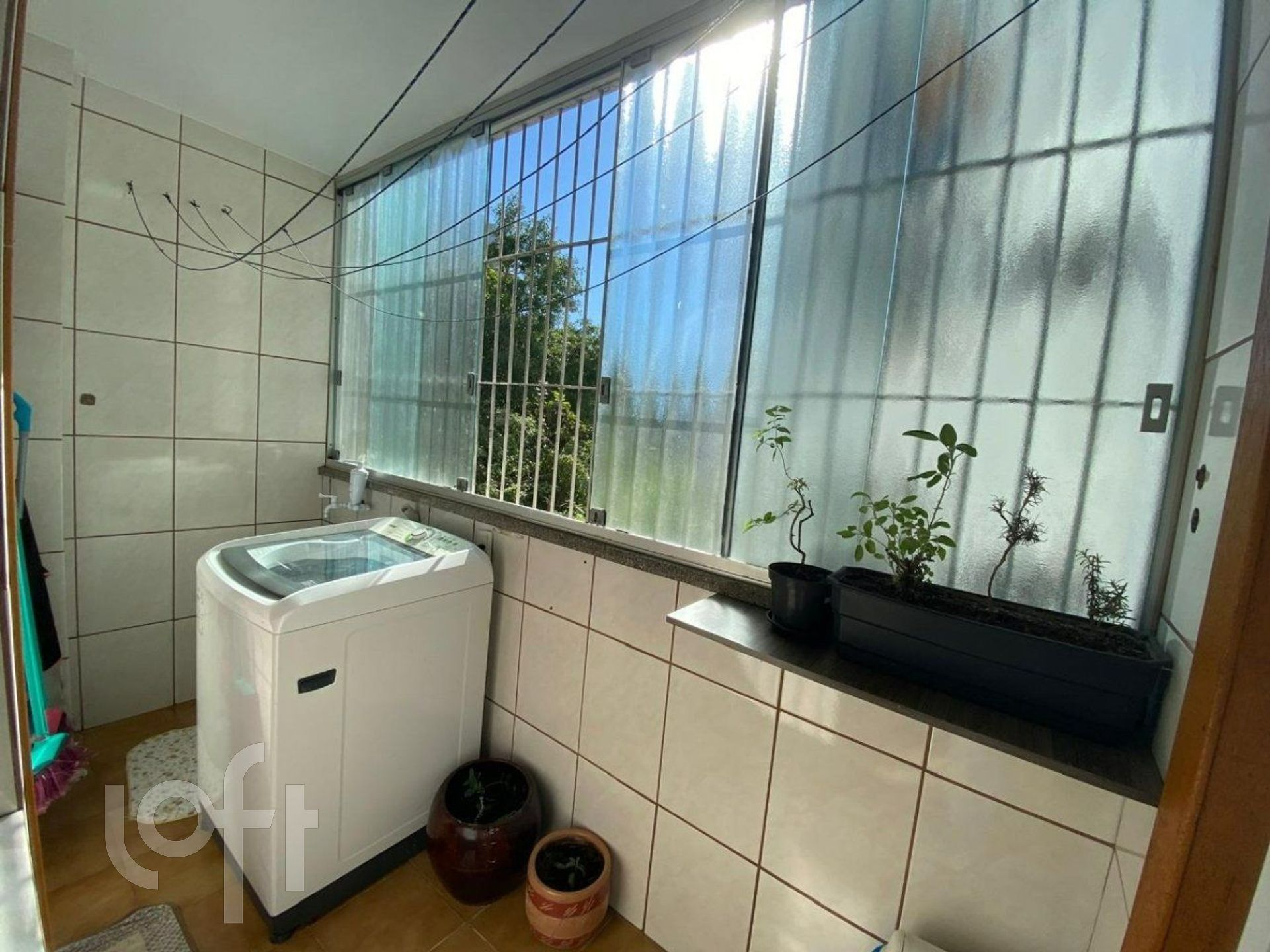 Imagem da propriedade 32