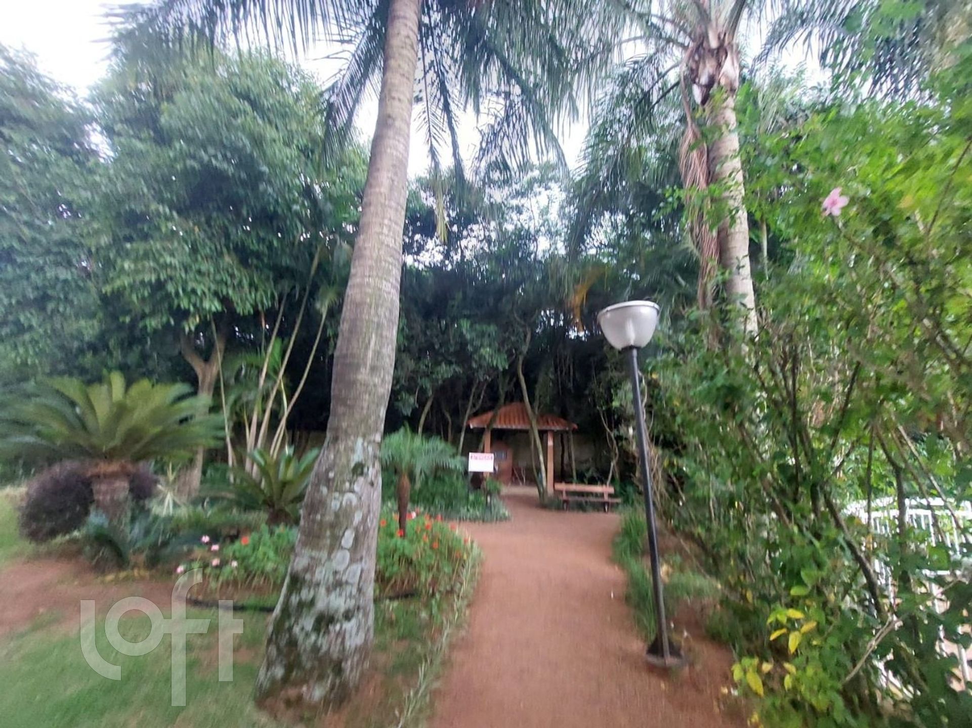 Imagem da propriedade 18